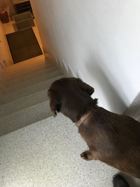 Was ist im Keller los?