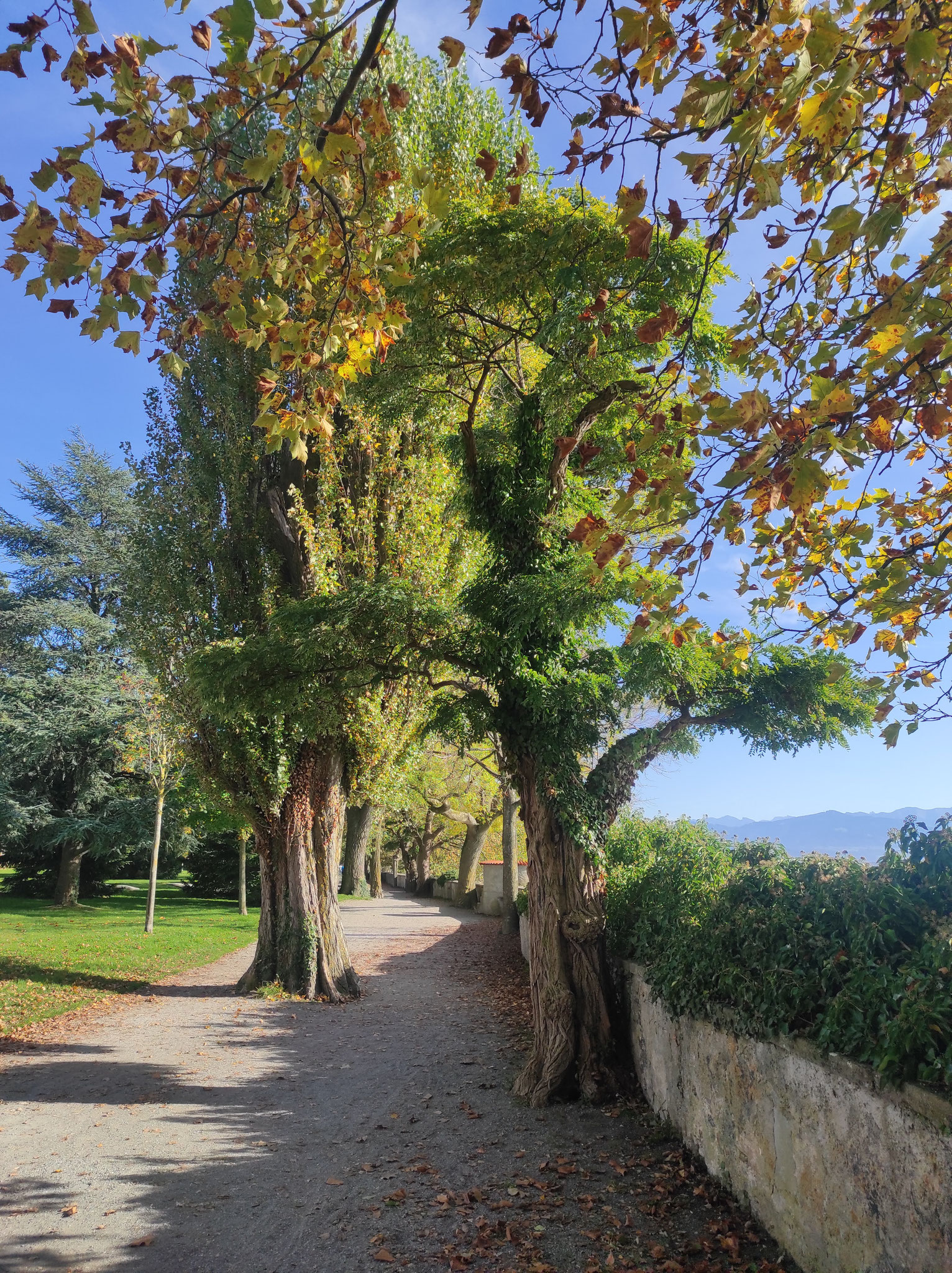  Lindau Luitpoldpark