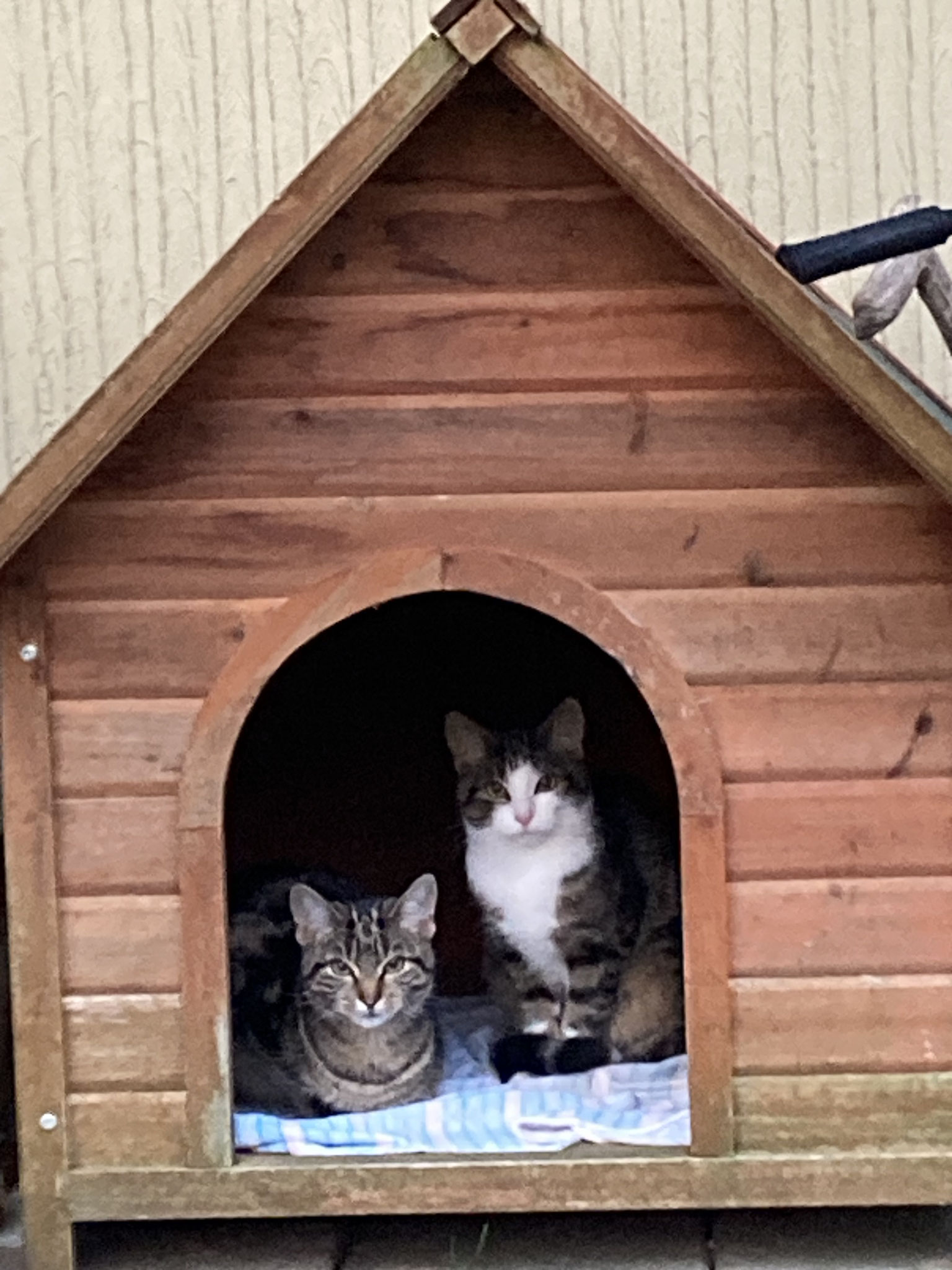 Jacky und Jane