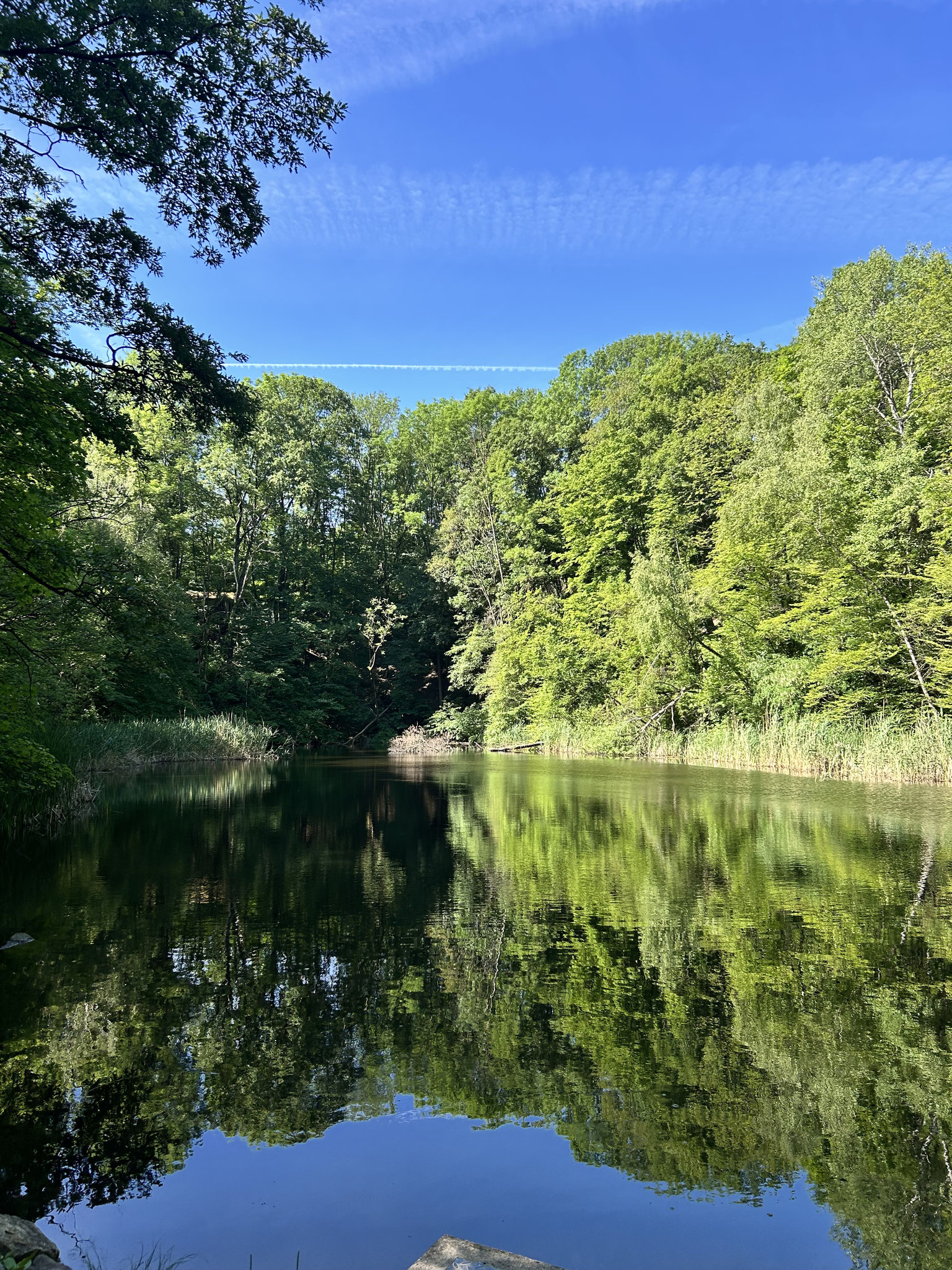 Der 1. AL erklimmt den Satzberg! Schön ist's im Wienerwald!