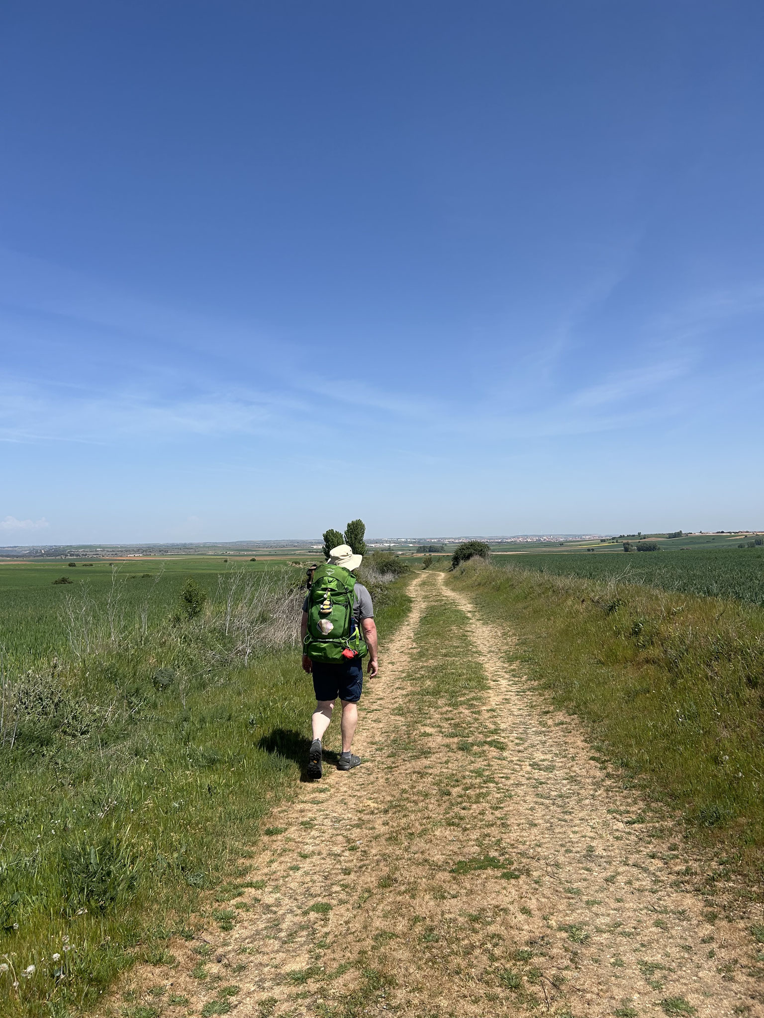 Walking in Sunshine