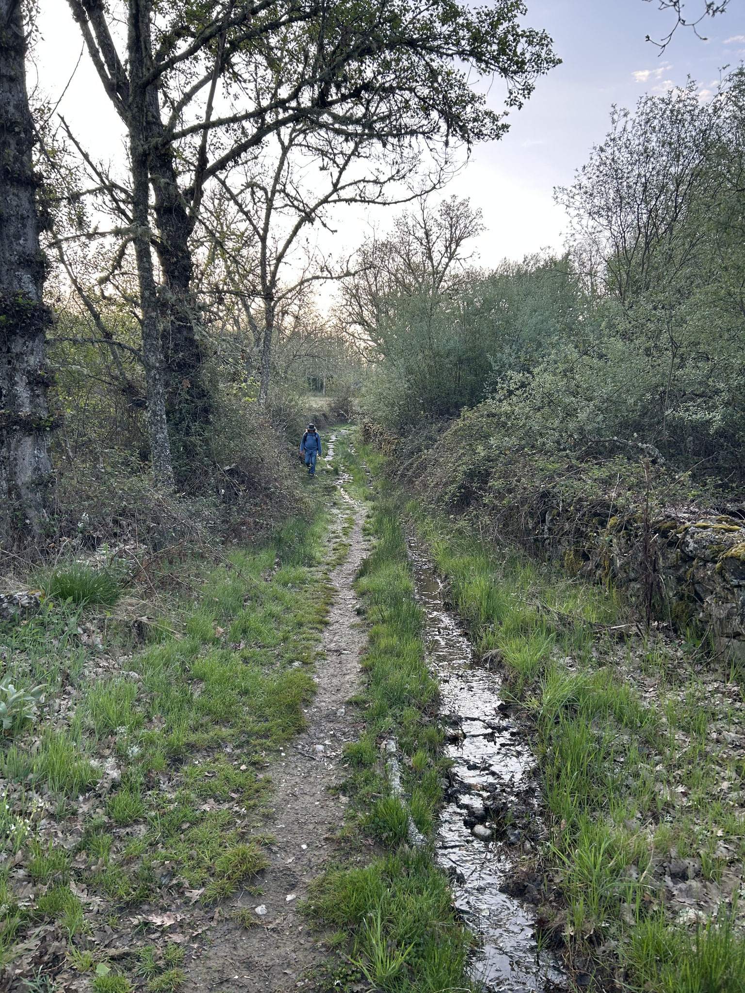 Historischer Weg und Wasserleitung