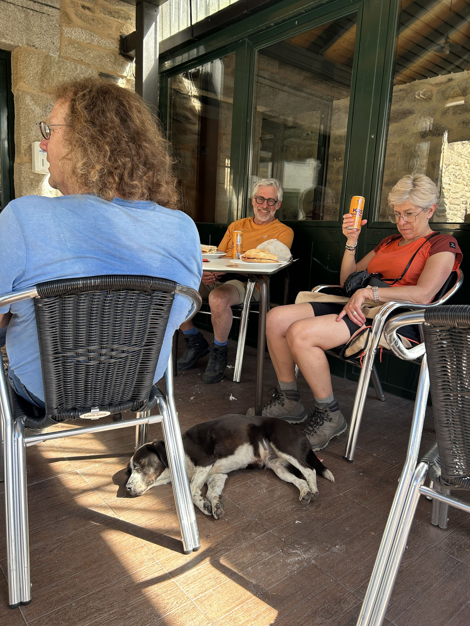 Der Hund unter Tisch, ob der auf den leckeren Schinken wartet?