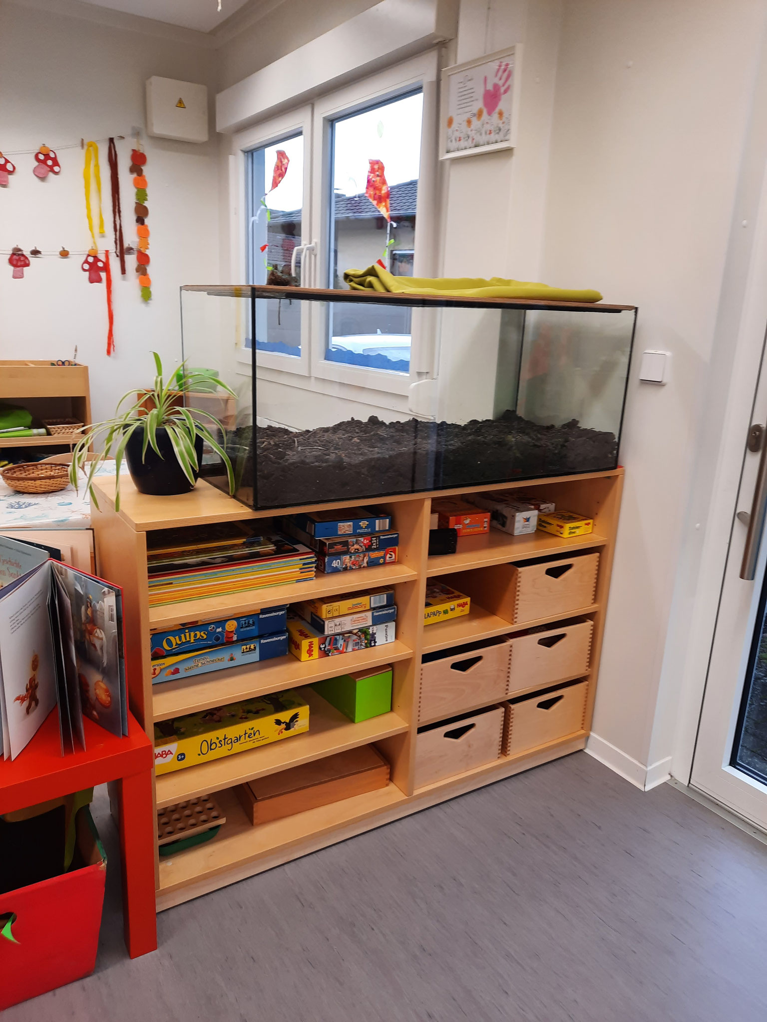Spieleschrank mit gängigen Spielen, Puzzlen, usw. / Terrarium zur Anschauung