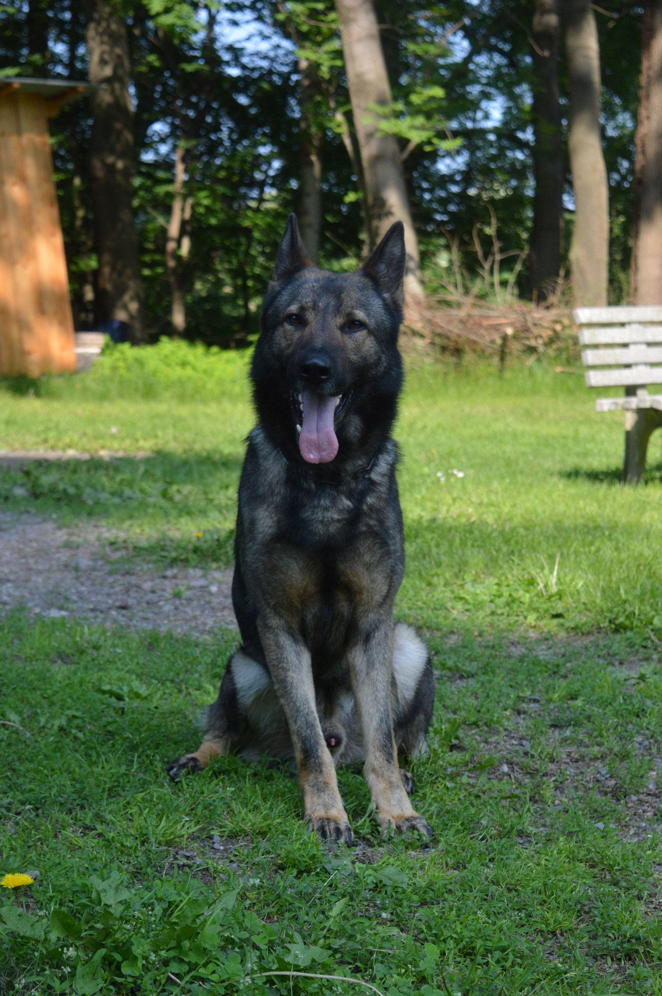 Silver von Fred Steinhoff