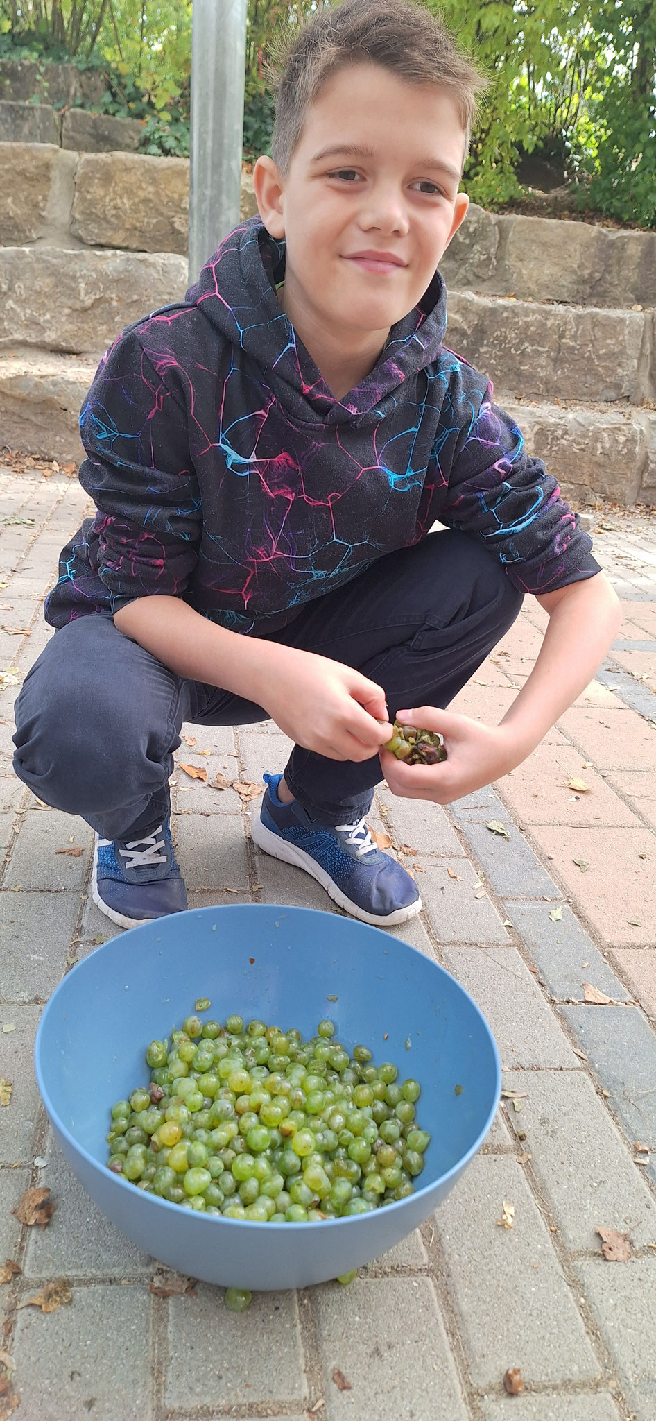Beim Traubenrispen abrappen