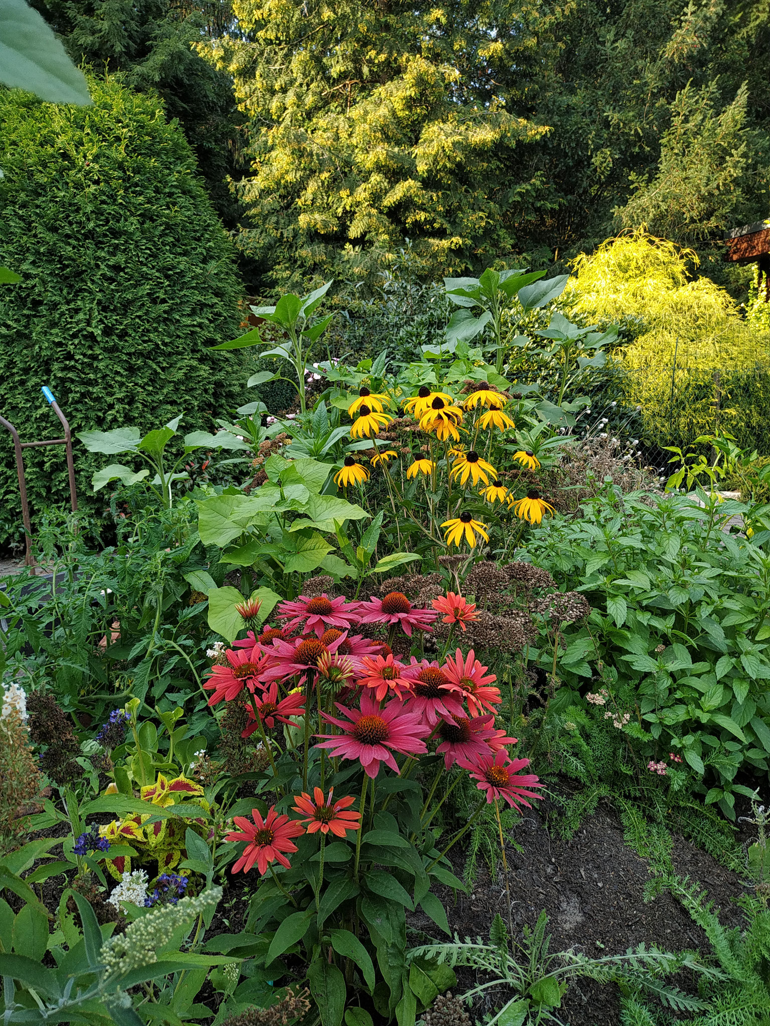 KORFMACHERS GARTENFIBEL Peter Korfmacher Gartengestaltung www