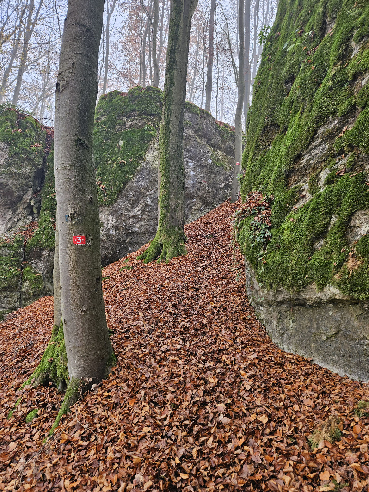 Scheckenfelsen.
