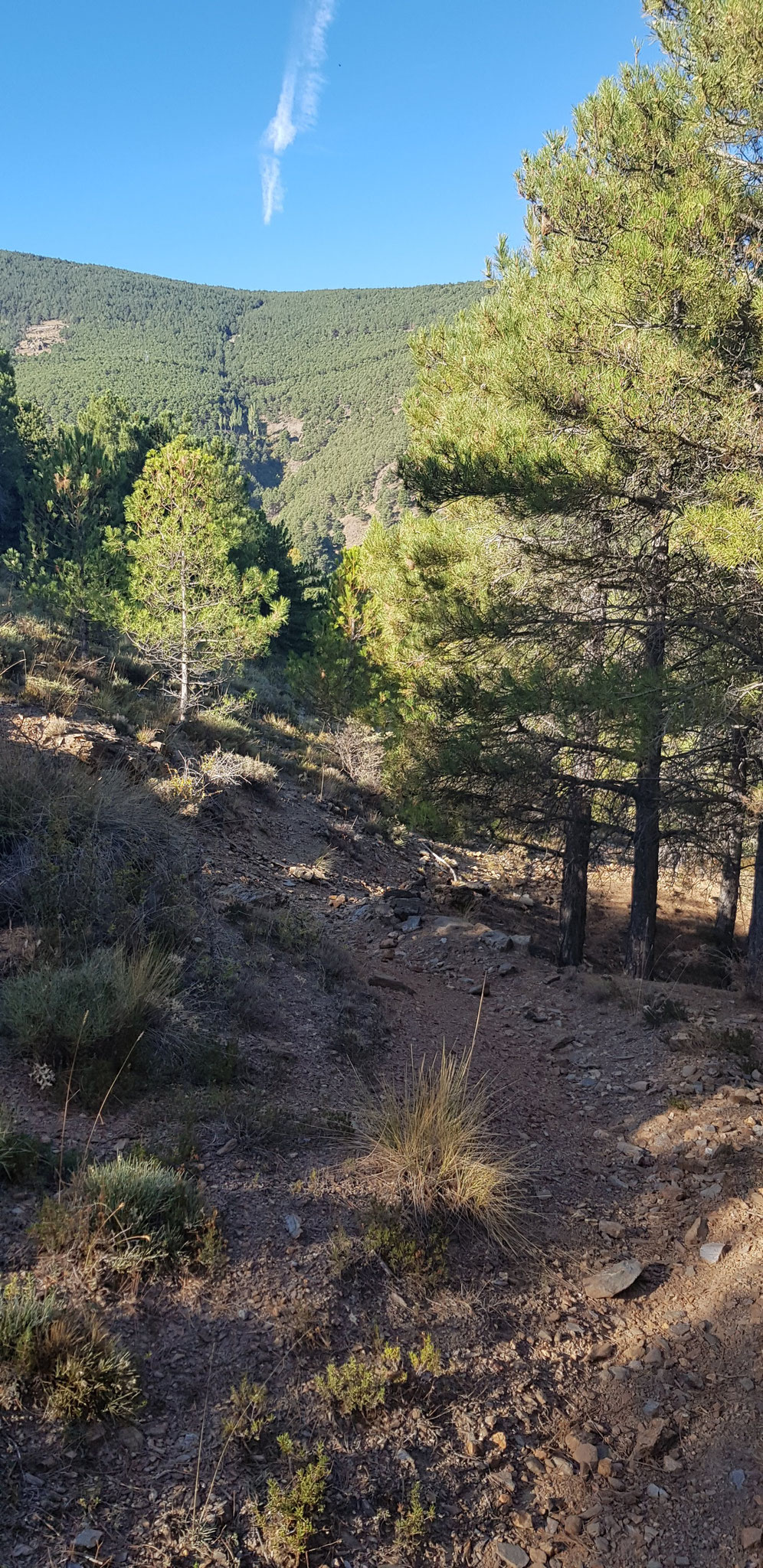 Einstieg in einen Barranco.