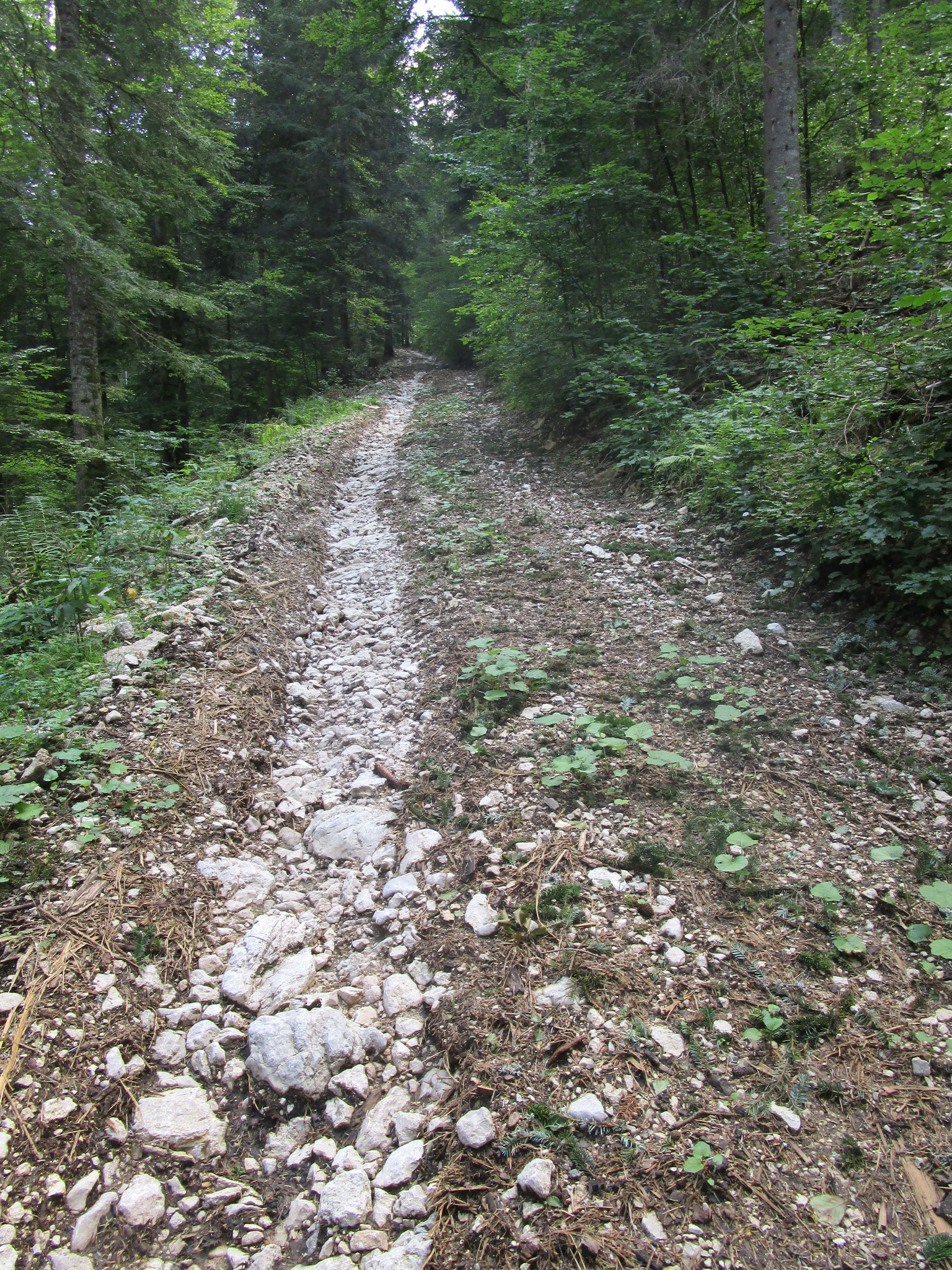 Am Steilhang von Côtière.