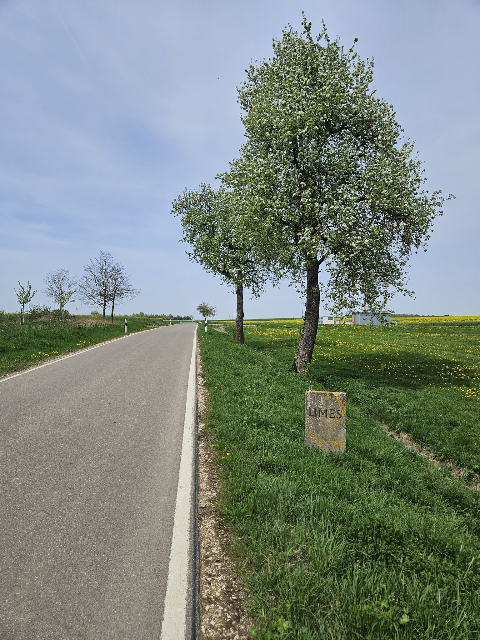 Strasse nach Birkenzell, die Limes-Linie querend.