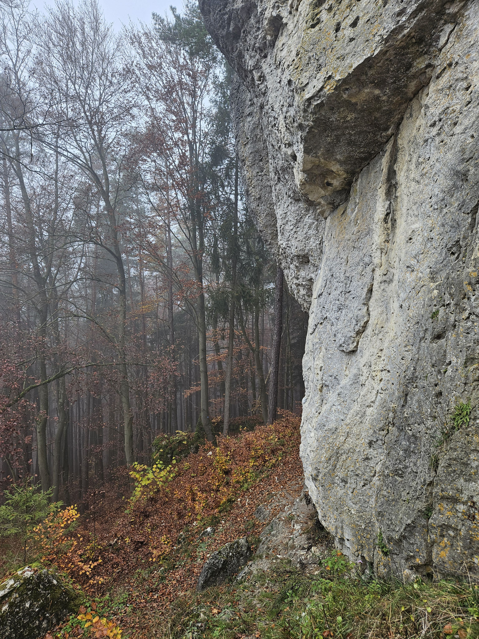 Am Hartenfels.