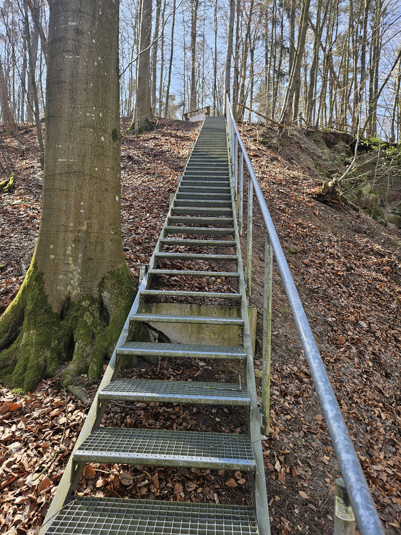 Gailnauer Berg.