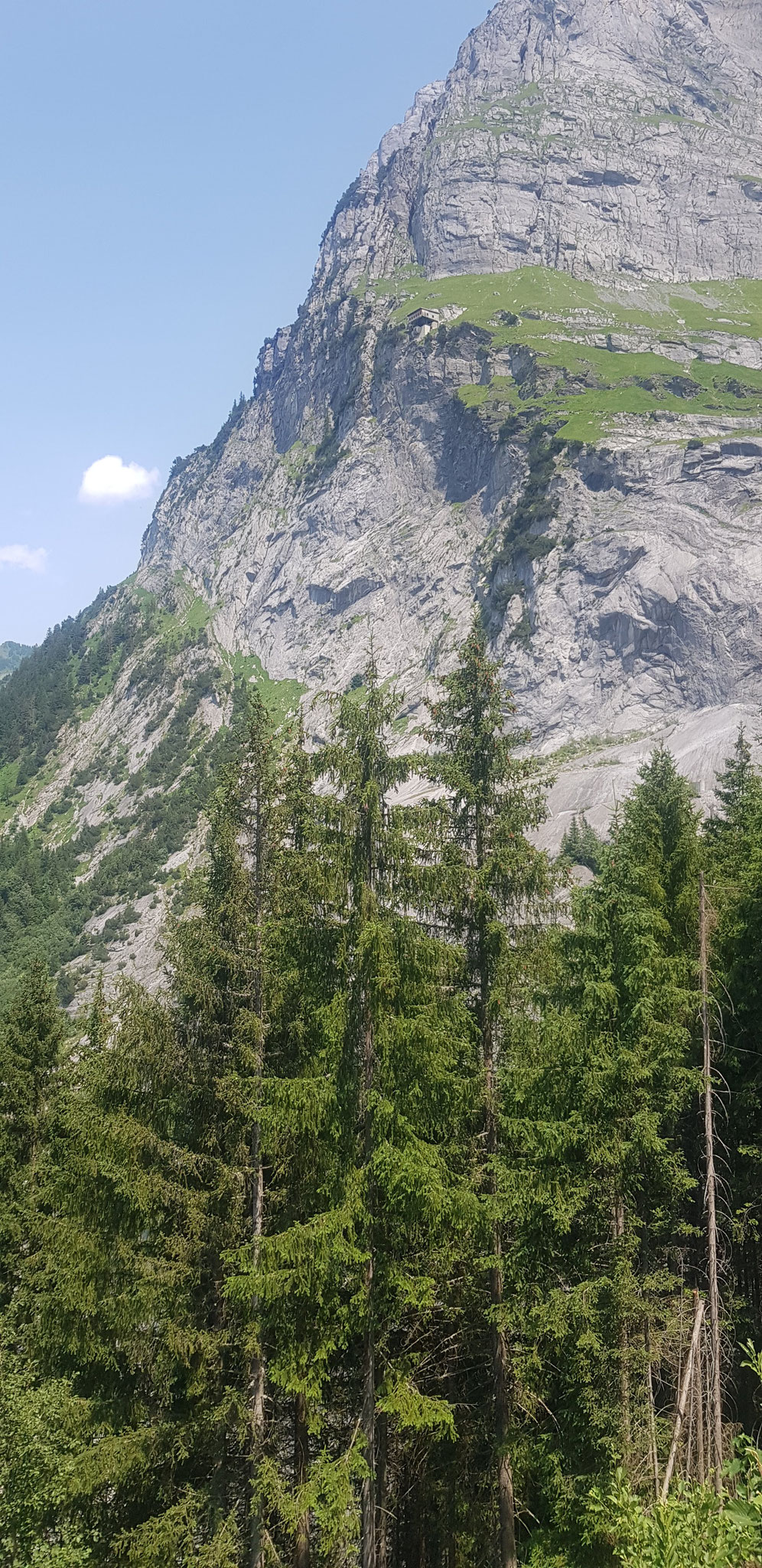 Milchbach, Blick zur Ruine der Seilbahn-Station Enge, Wetterhorn-Südwestflanke.