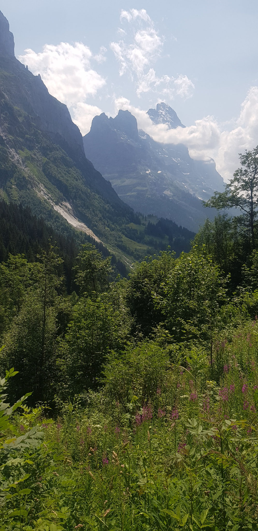 Beim Oberen Gletscher. Blick zurück zum Eiger.