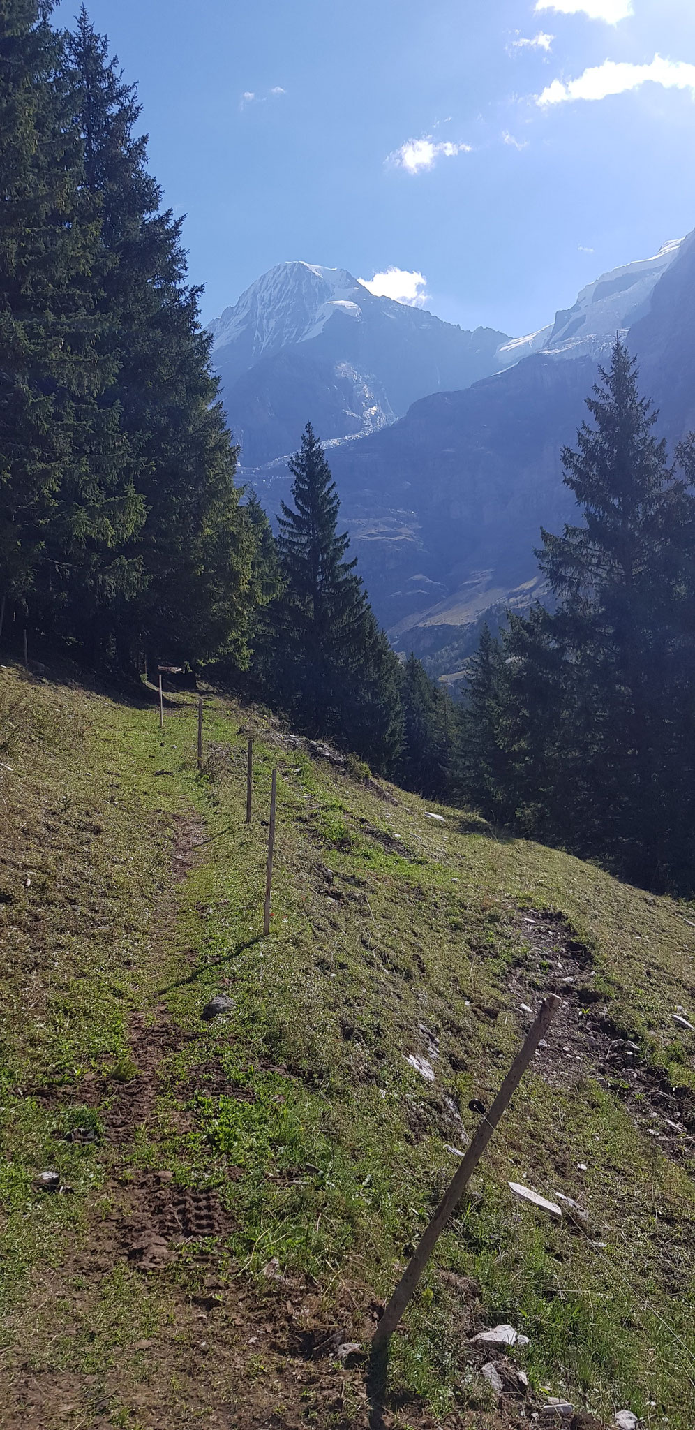 Alp Breech. Mönch-Blick.