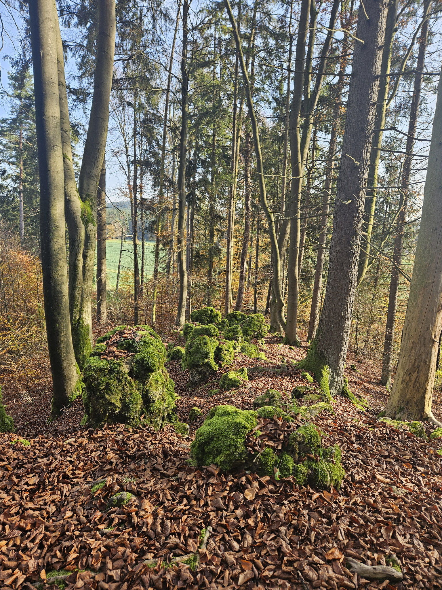 Am Schwarzenberg.