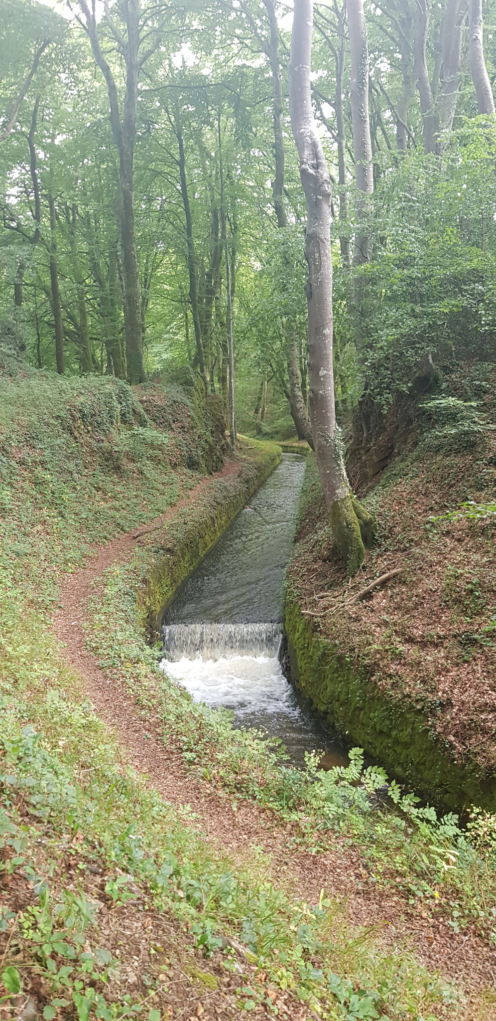 Rigole de la Montagne Noire.