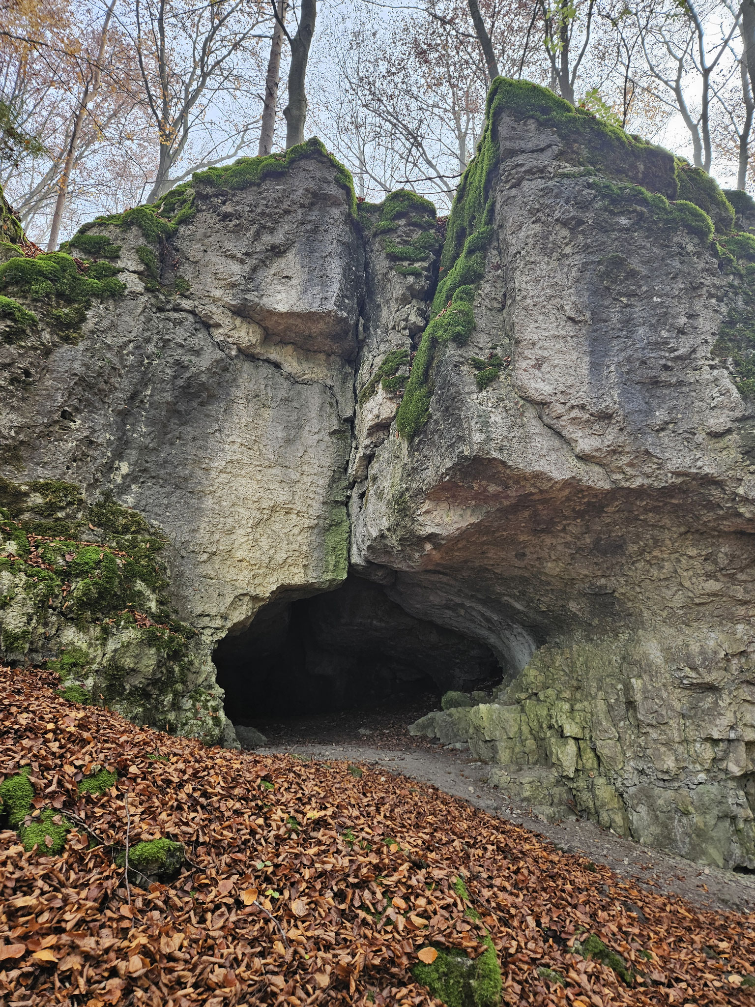 Scheckenfelsen.