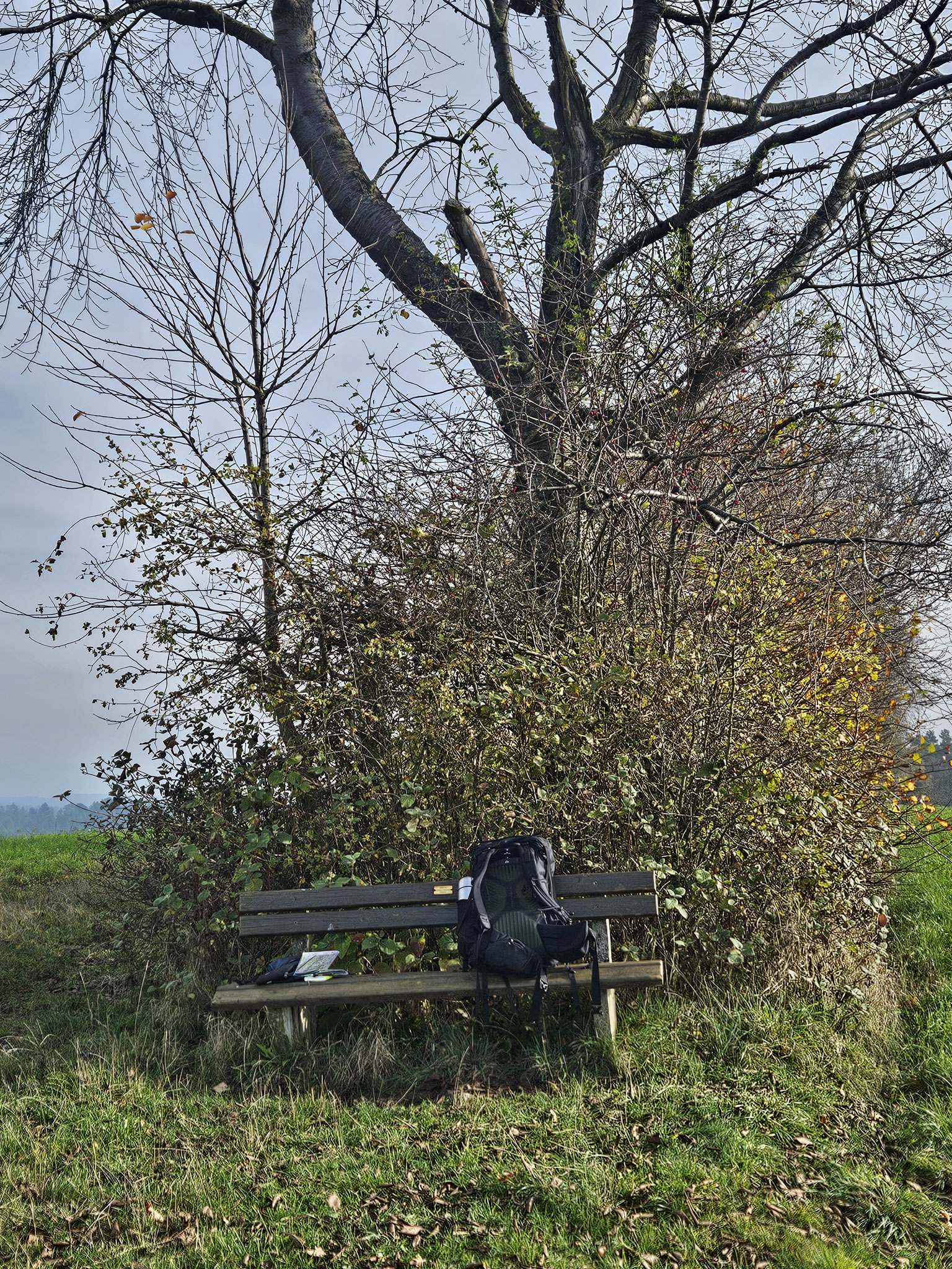 Fenkenseeser Berg.