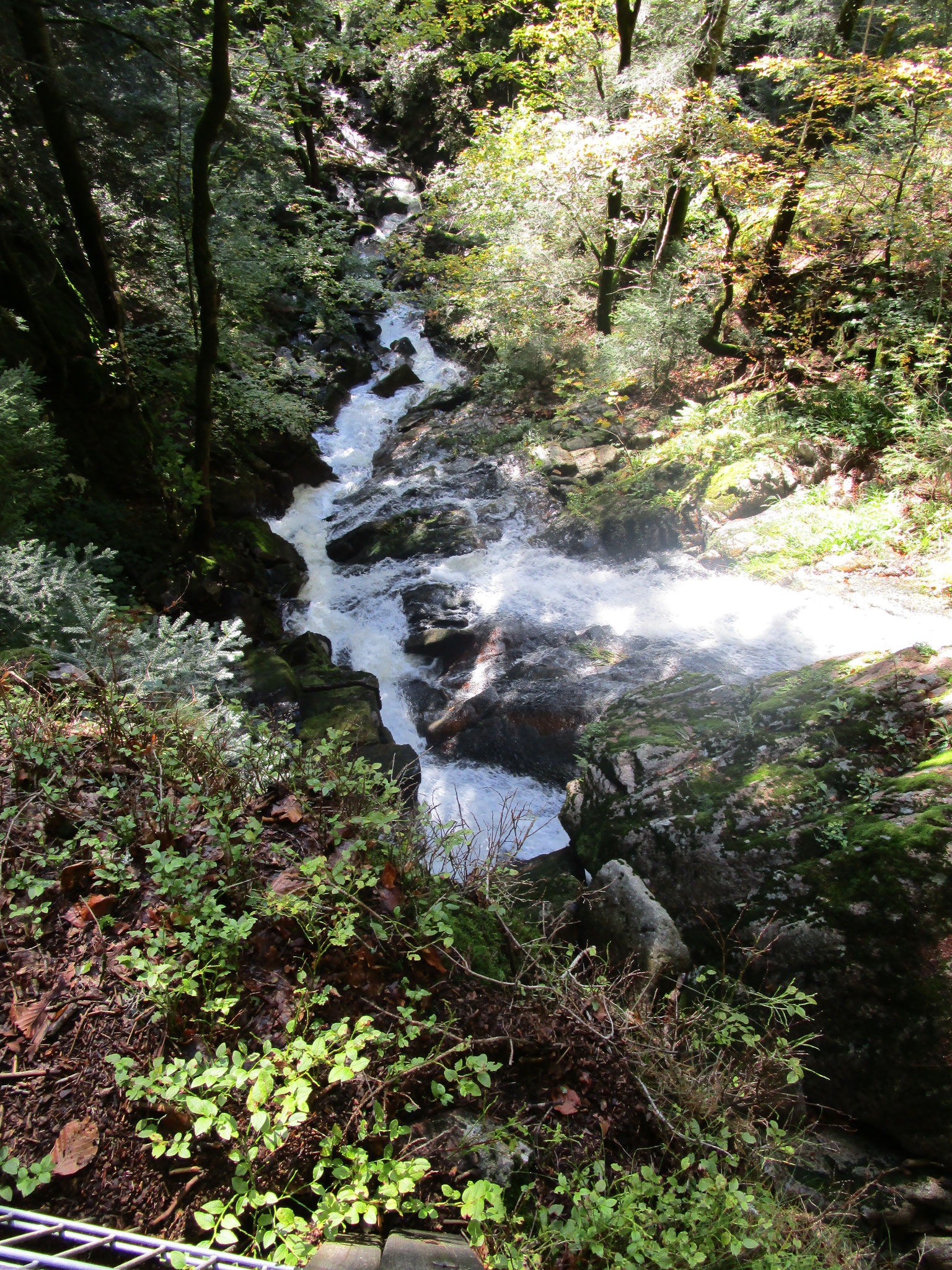 Sentier des Cascades., Tiefblick.