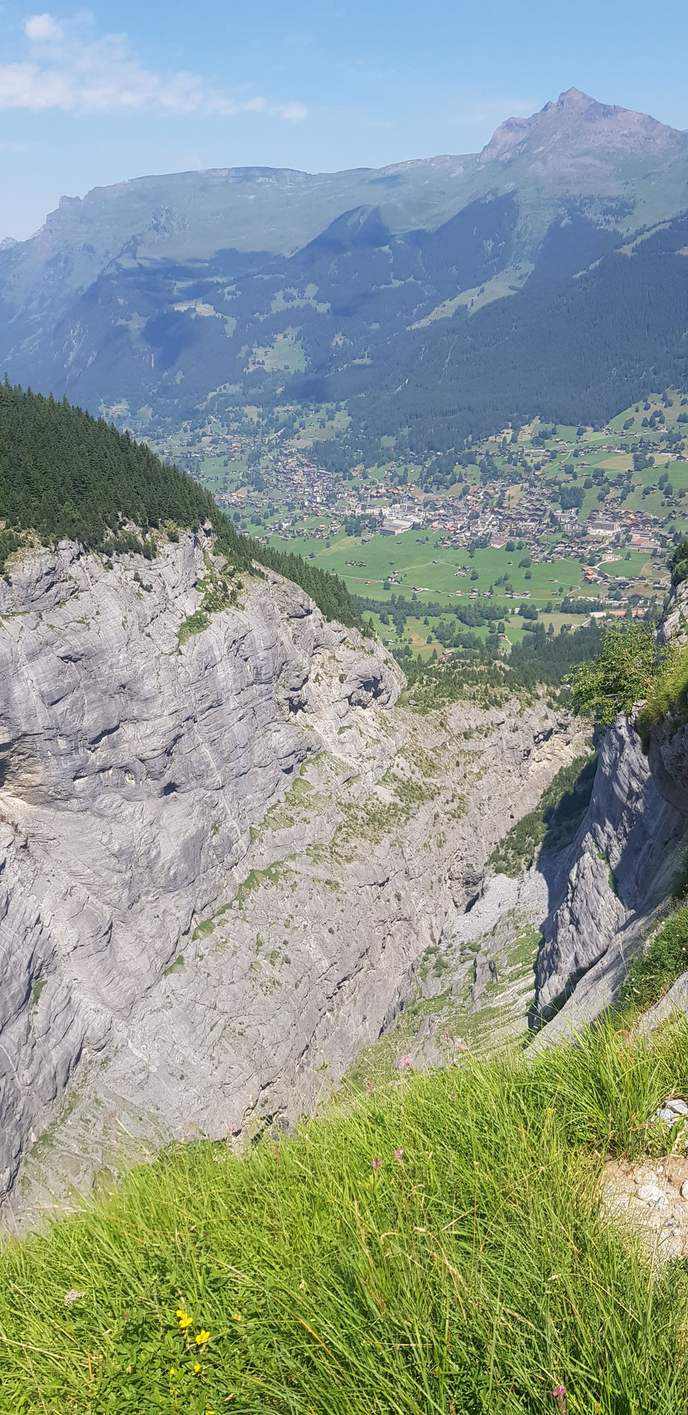 Blick in die Gletscherschlucht und auf Grindelwald.