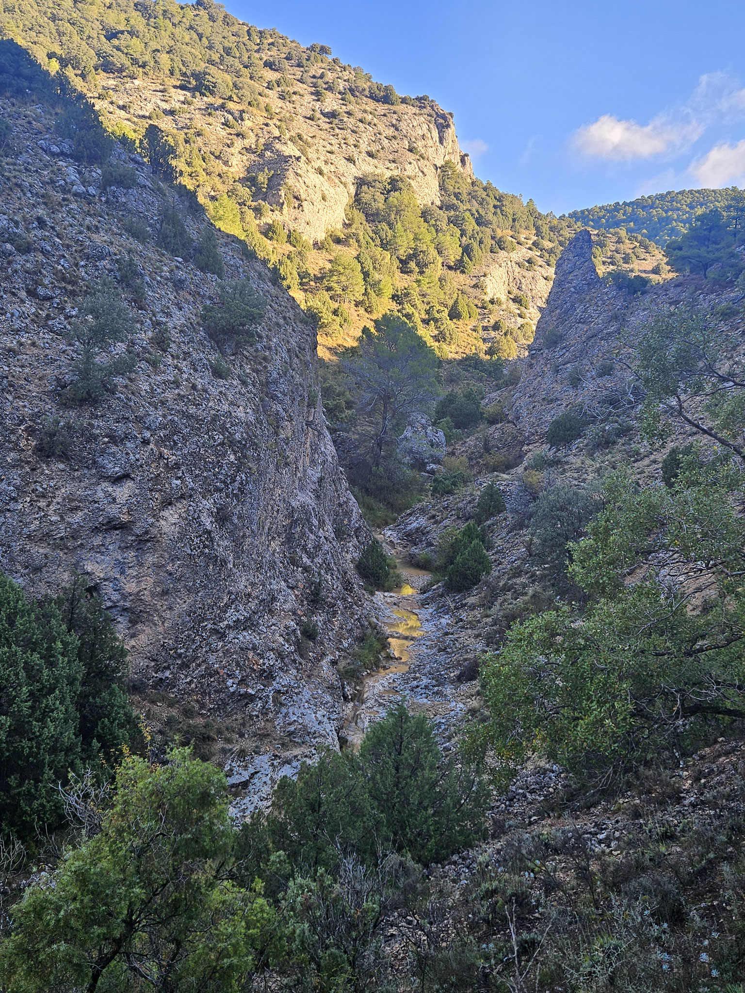 Barranco de la Hociquilla.