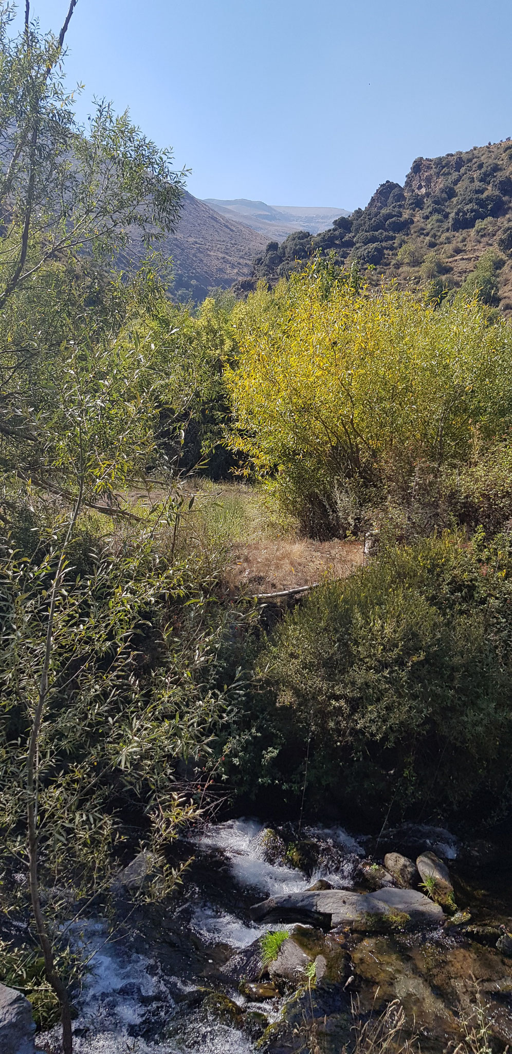 Blick zum Mulhacén hinauf.