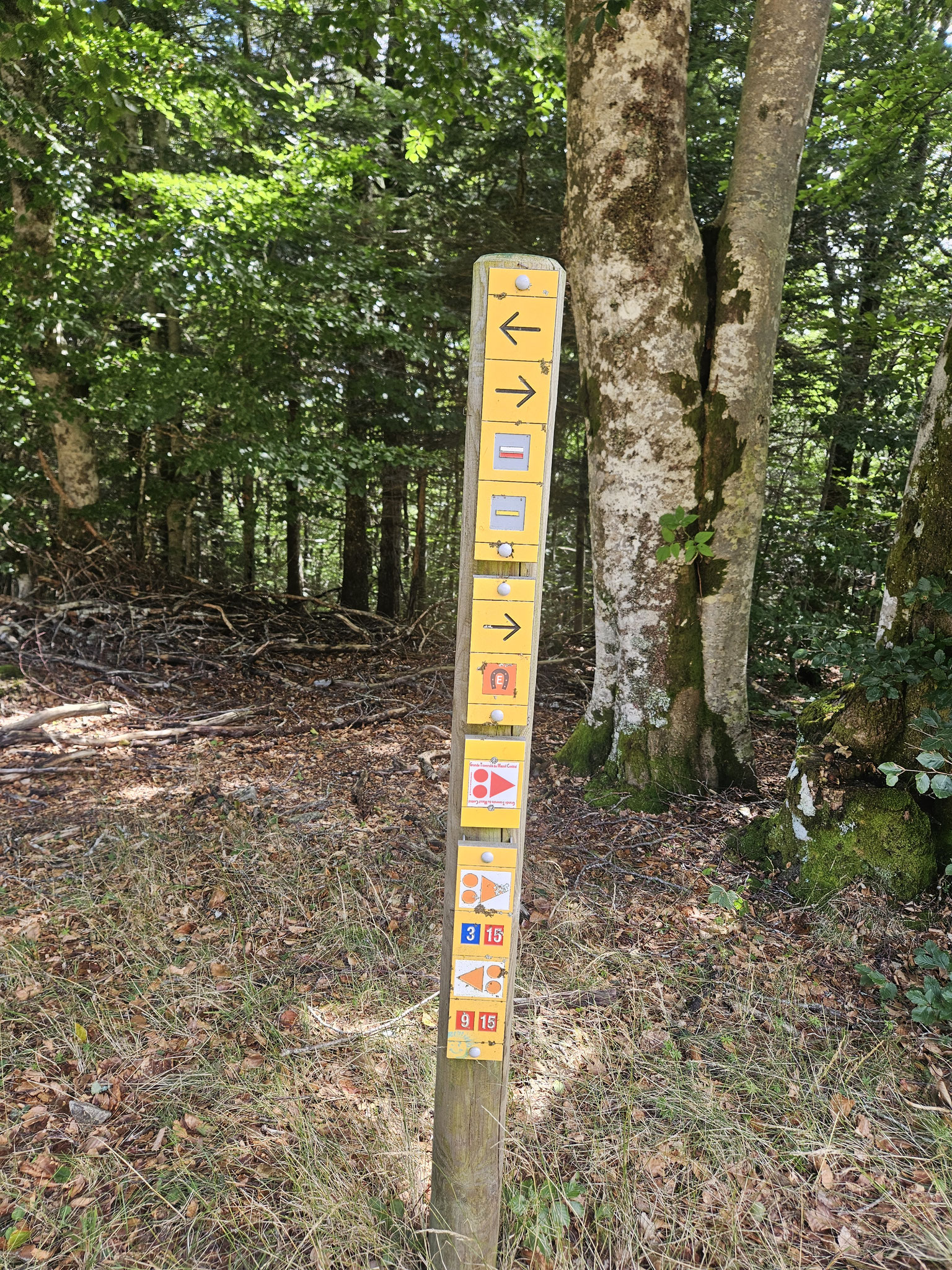 Wanderweg-Vielfalt ob Col de la Serreyrède.