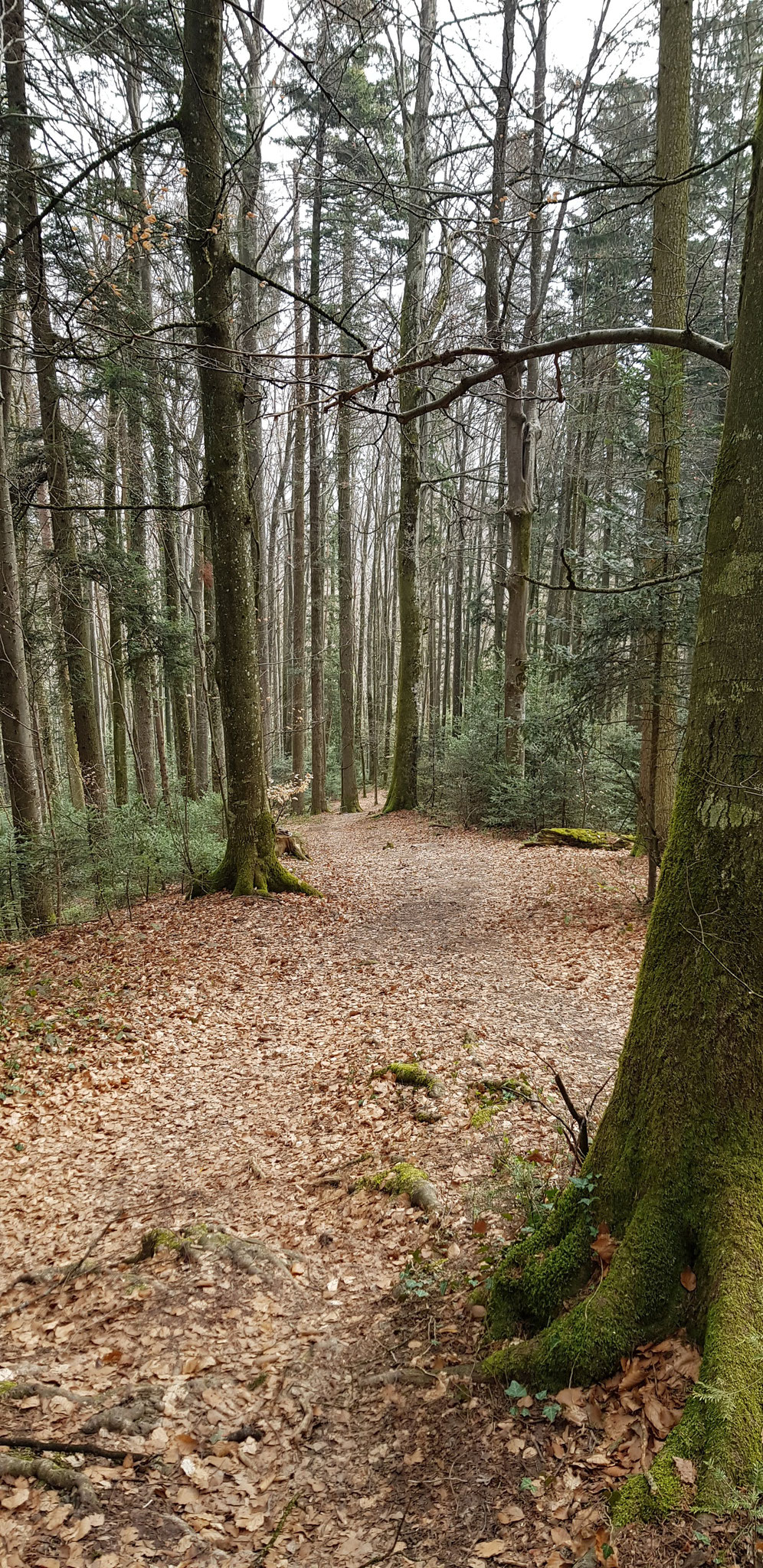 Abstieg von der Tour de Gourze.