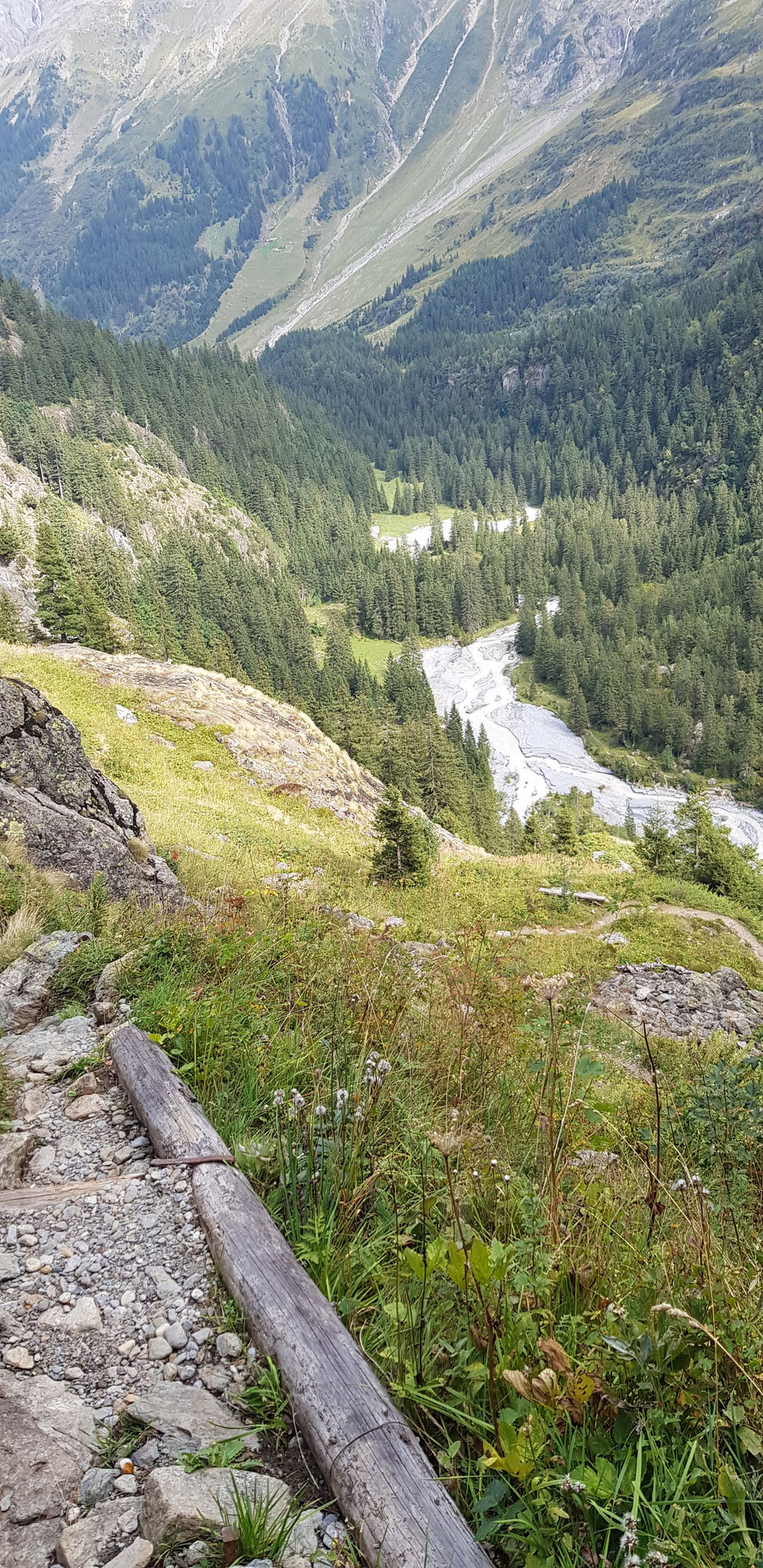 Blick in den Talboden der Tschingel-Lütschine.