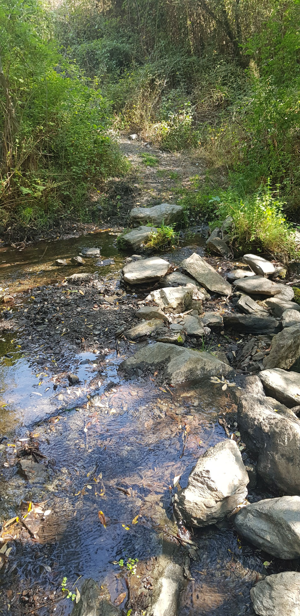 Furt über den Río Nechite.