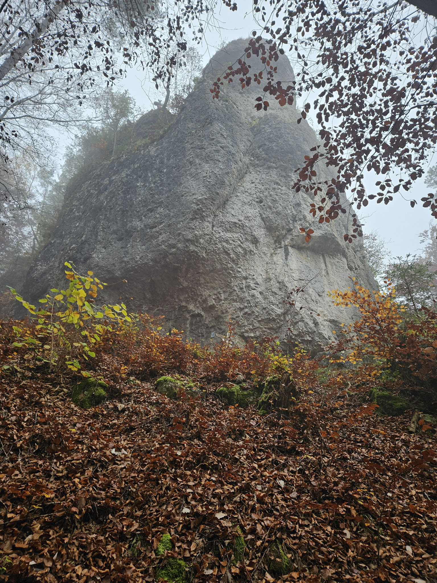 Hartenfels von unten.