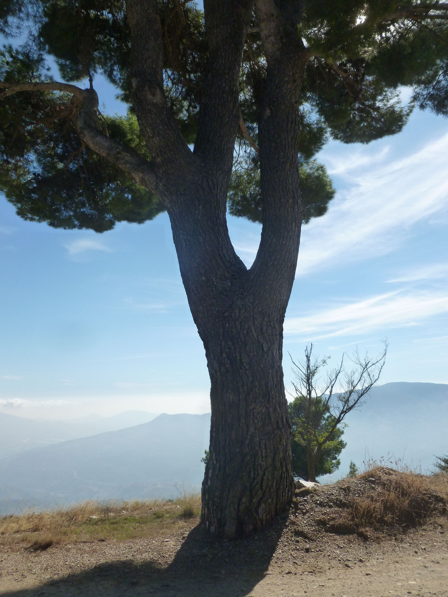 Aussichtspunkt am Südhang. Blickrichtung Meer.