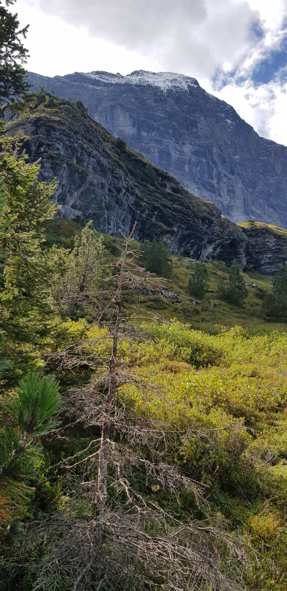 Eiger von der Rinderegg aus.