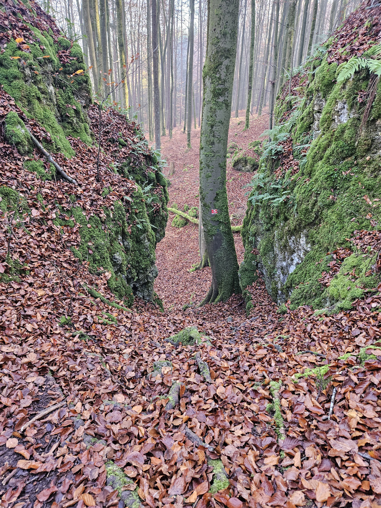 Felsen-und Höhensteig Peilstein.