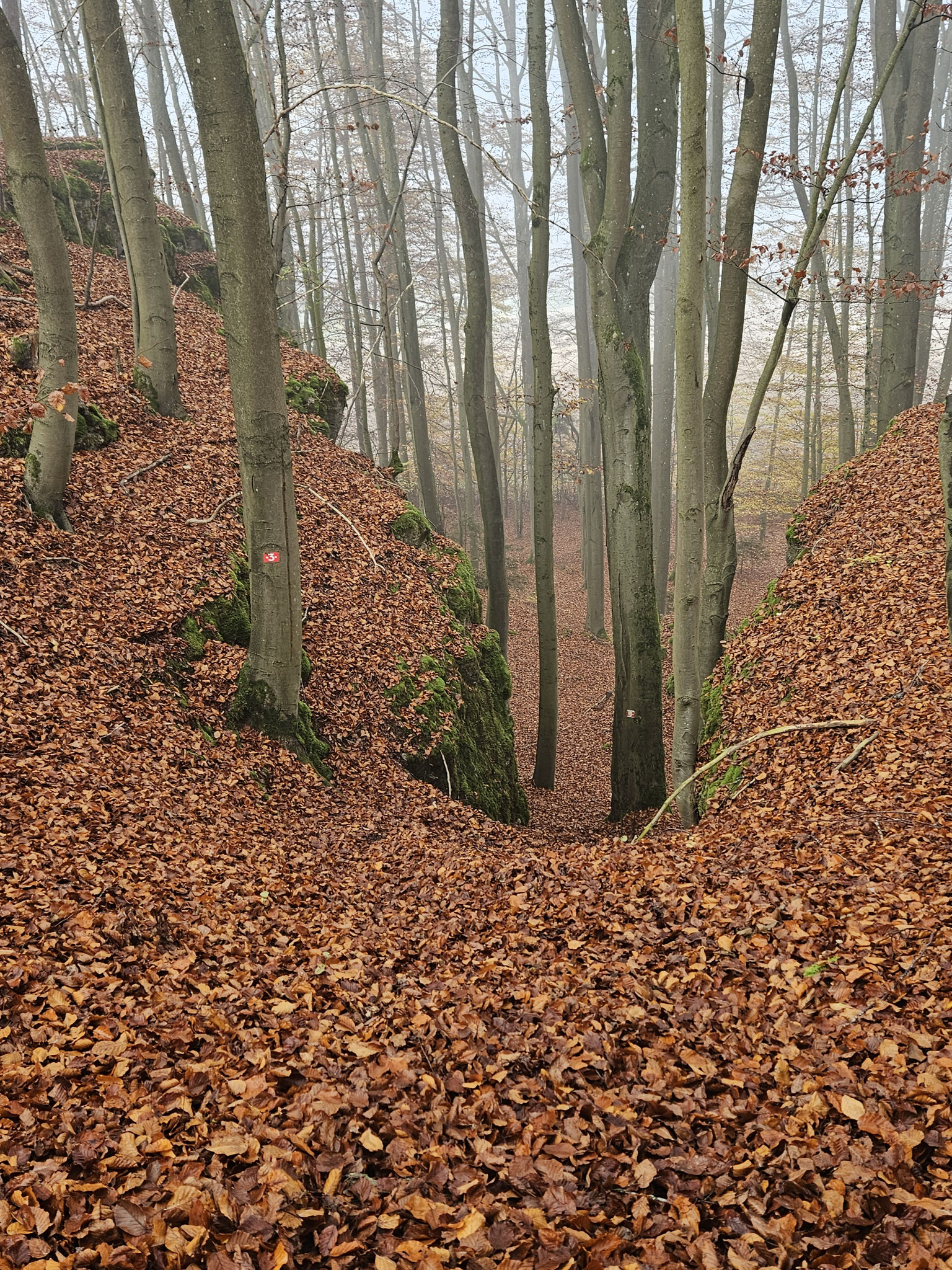 Scheckenfelsen.