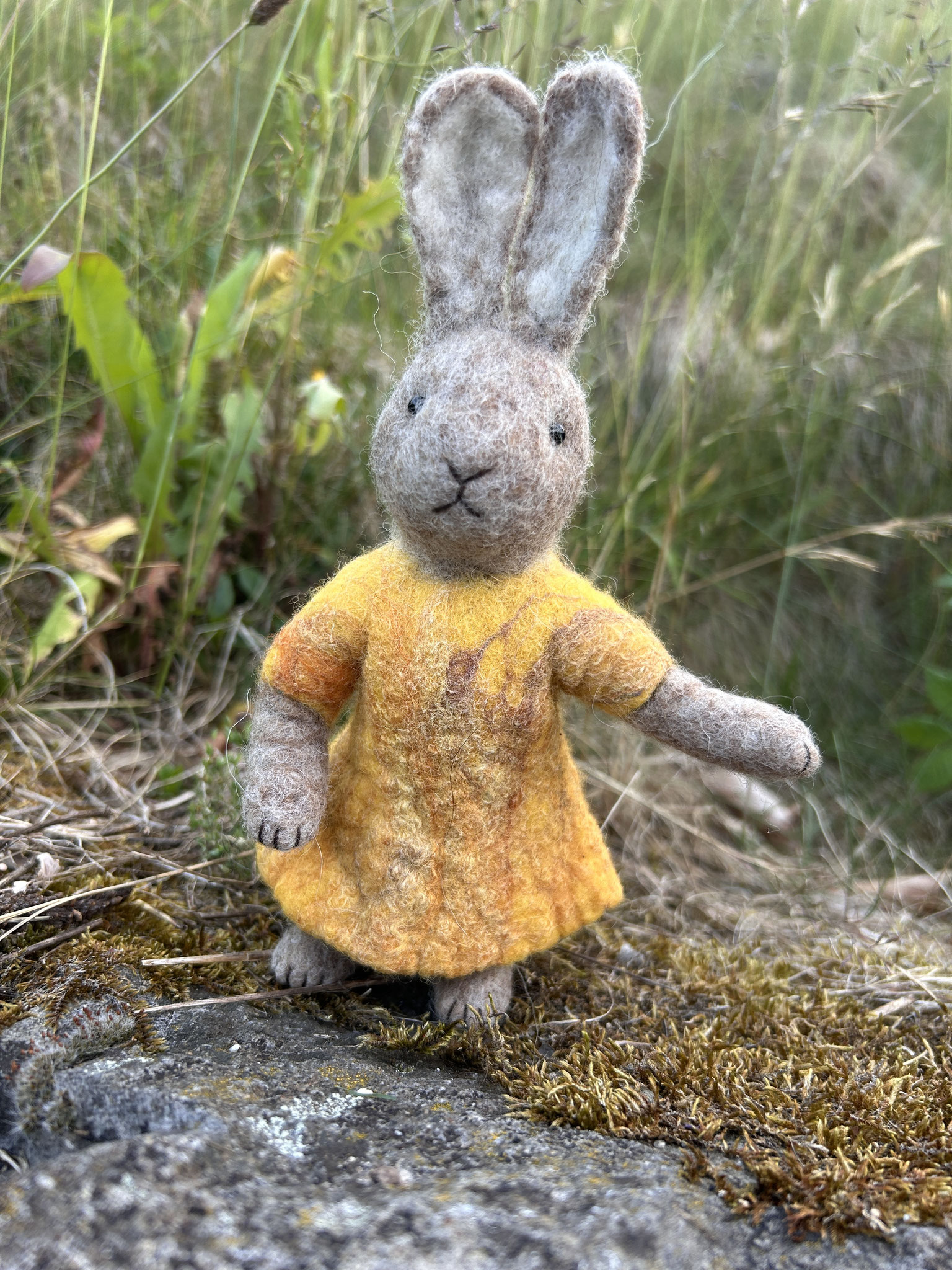 Hase "Mutter"