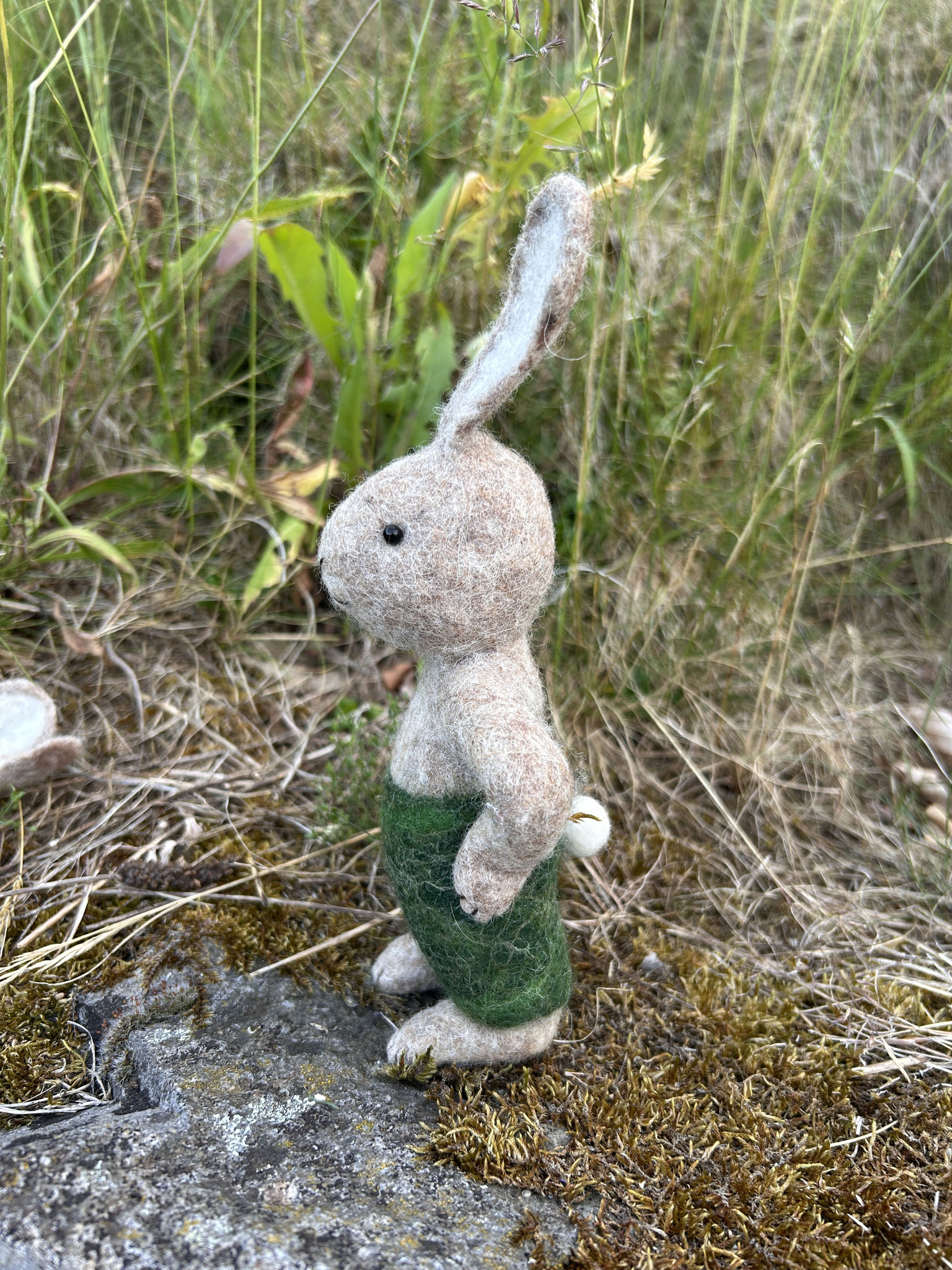 Hase "Vater"