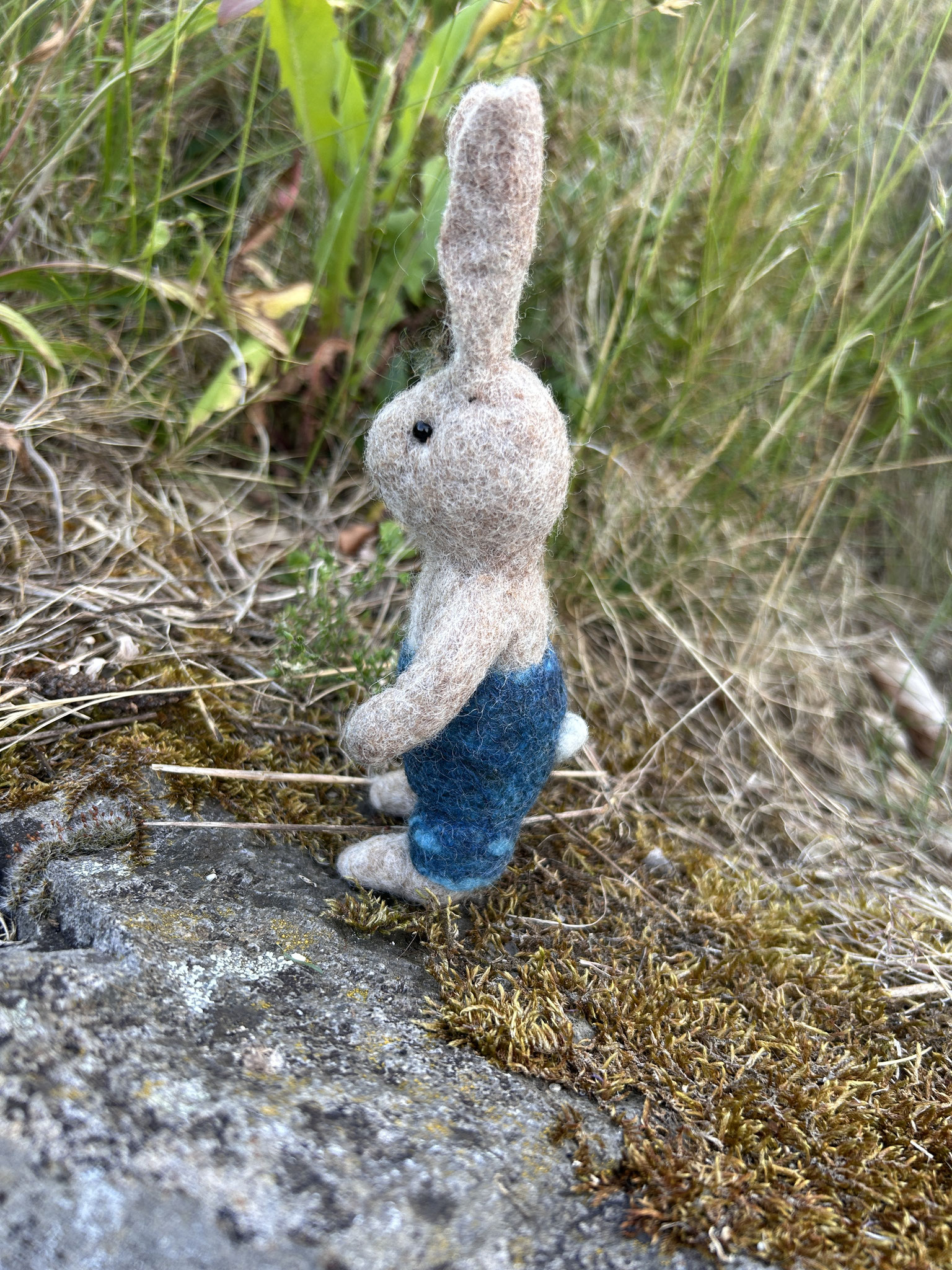 Hase "Kind"
