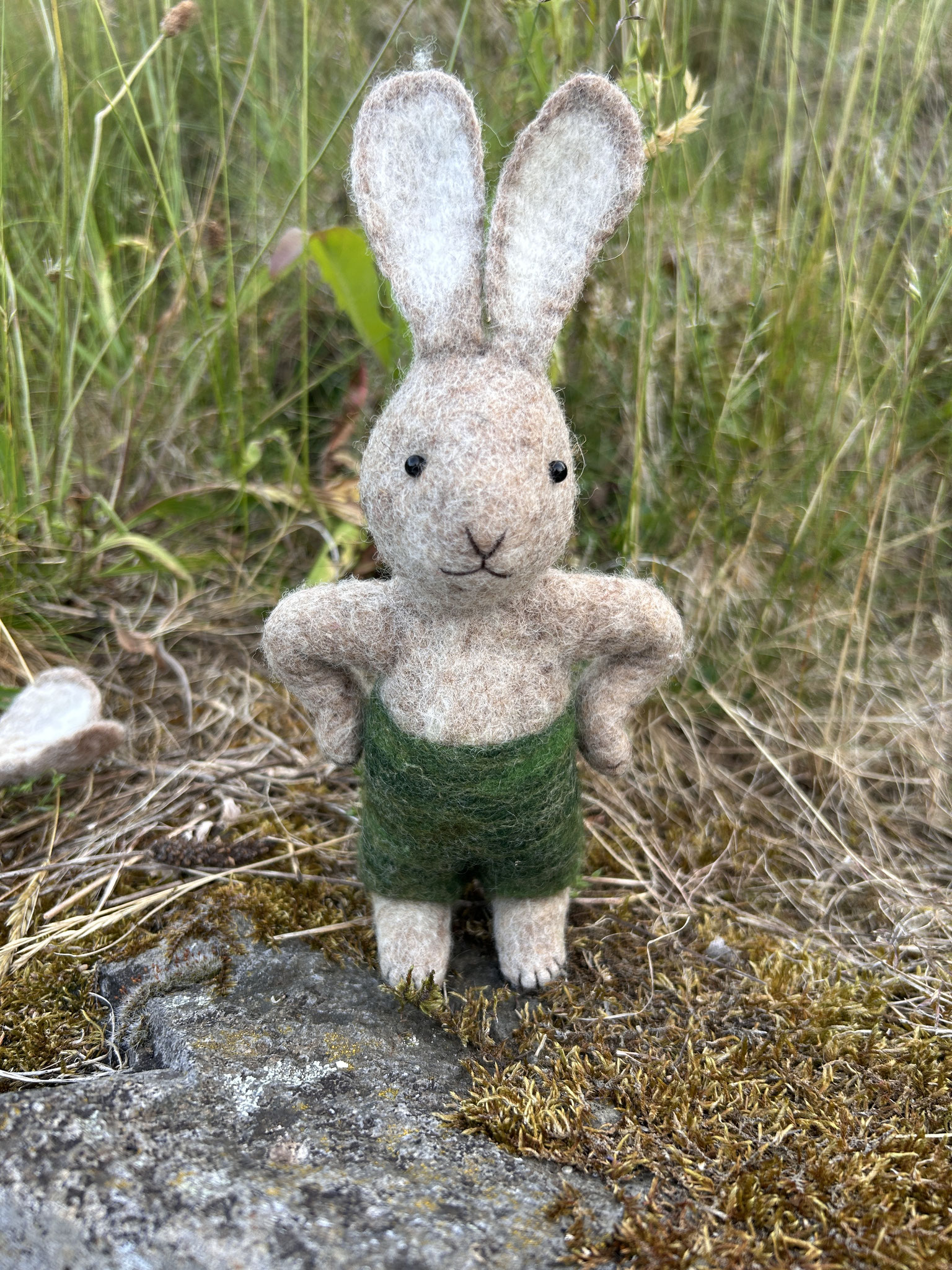 Hase "Vater"