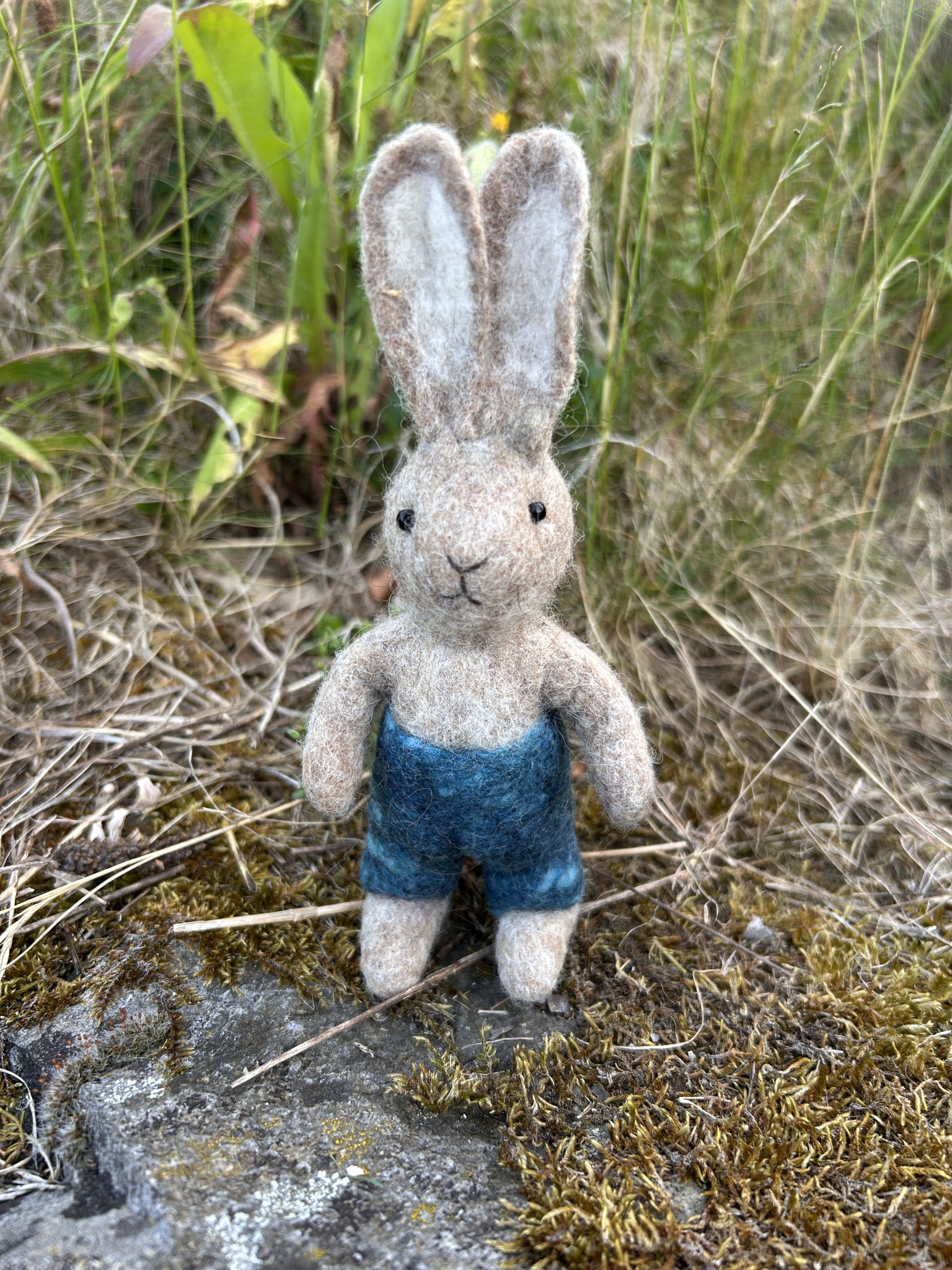 Hase "Kind"