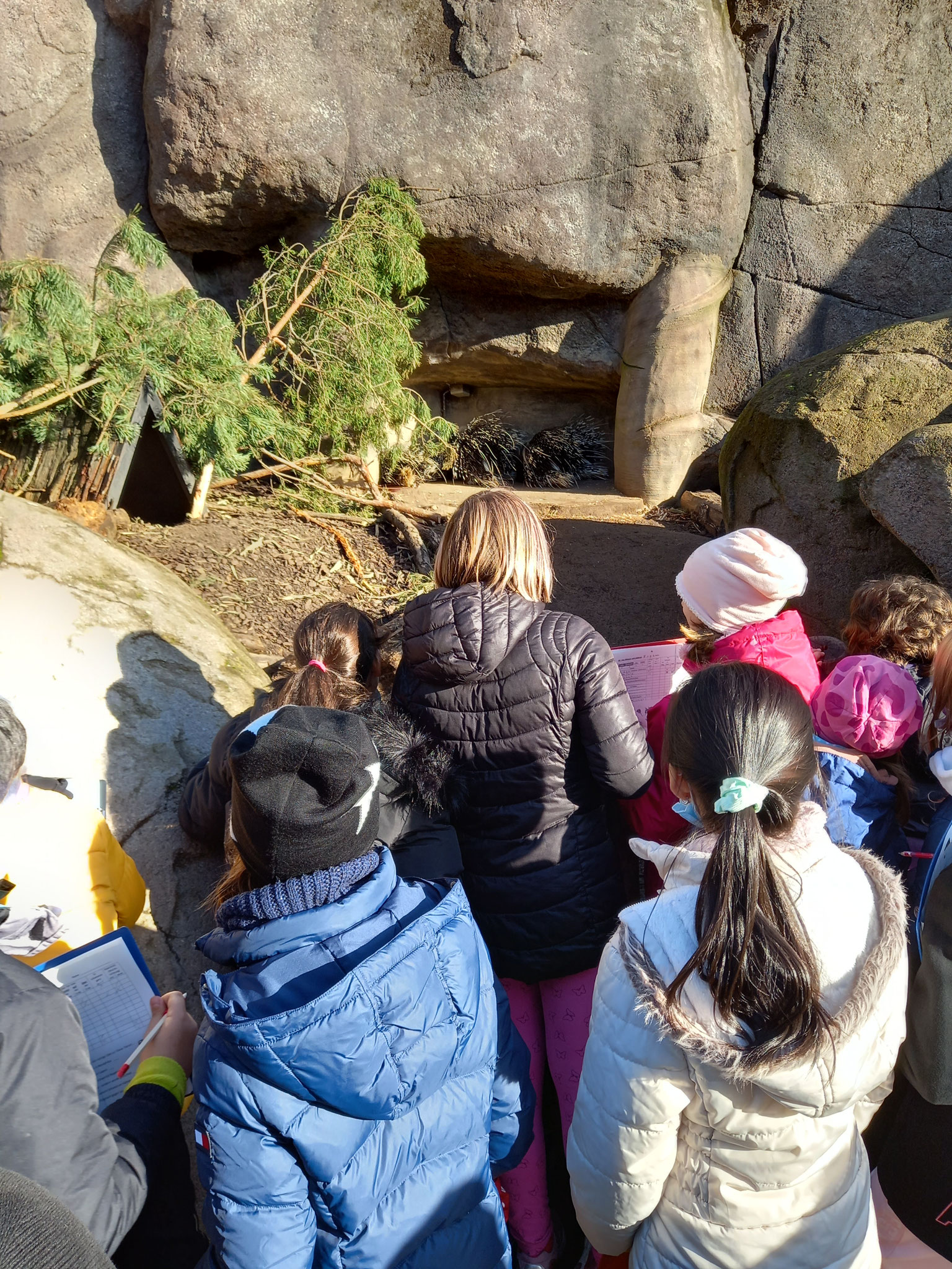 Zooschule mit der Klasse 4c - August-Bebel-Schule Grundschule der Stadt ...