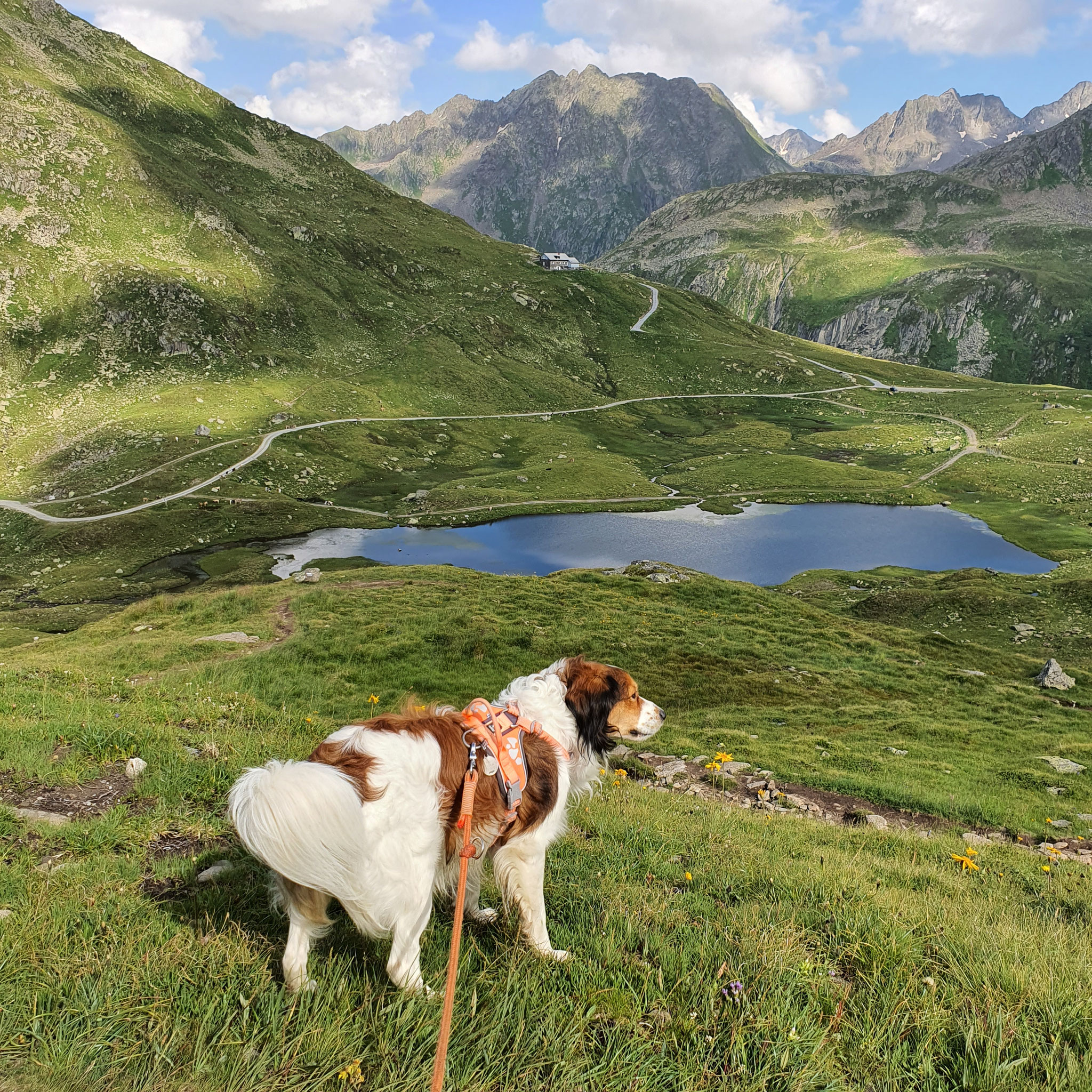 Blick zur Maigelshütte