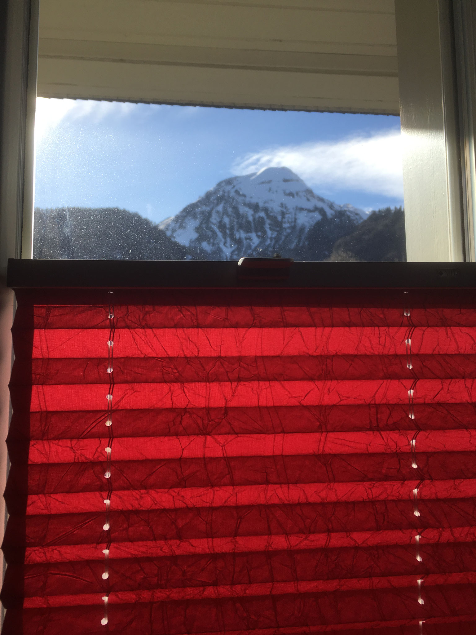 Plissee nicht transparent, perliert