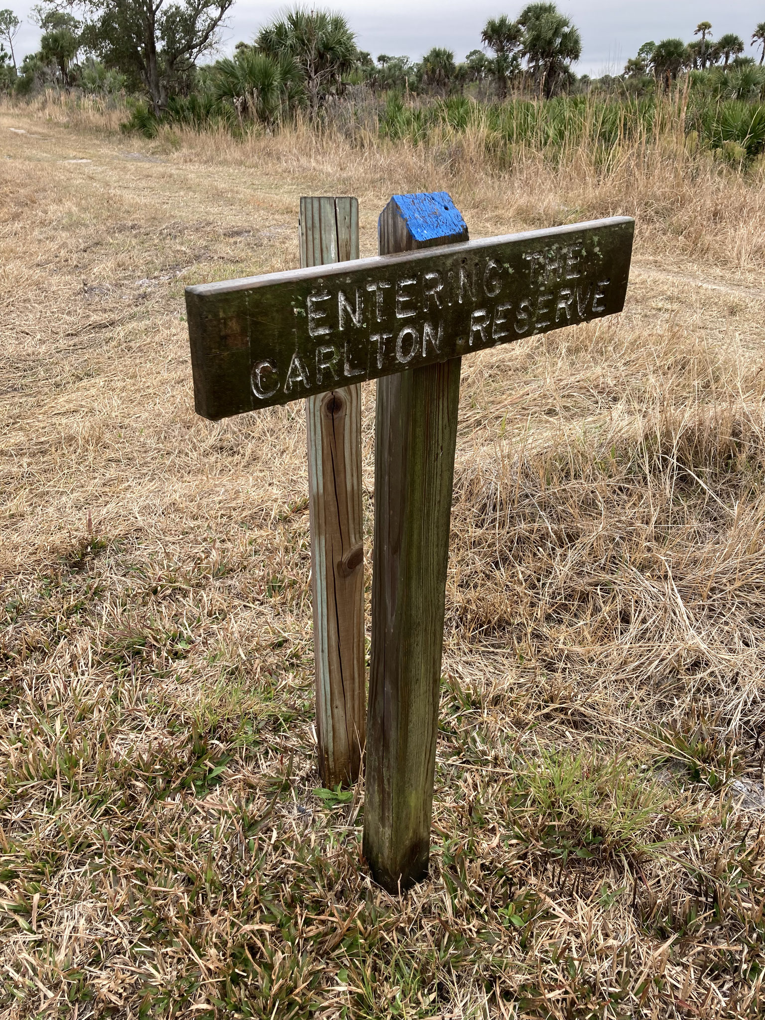 Repaint Named Trail Signs: Before