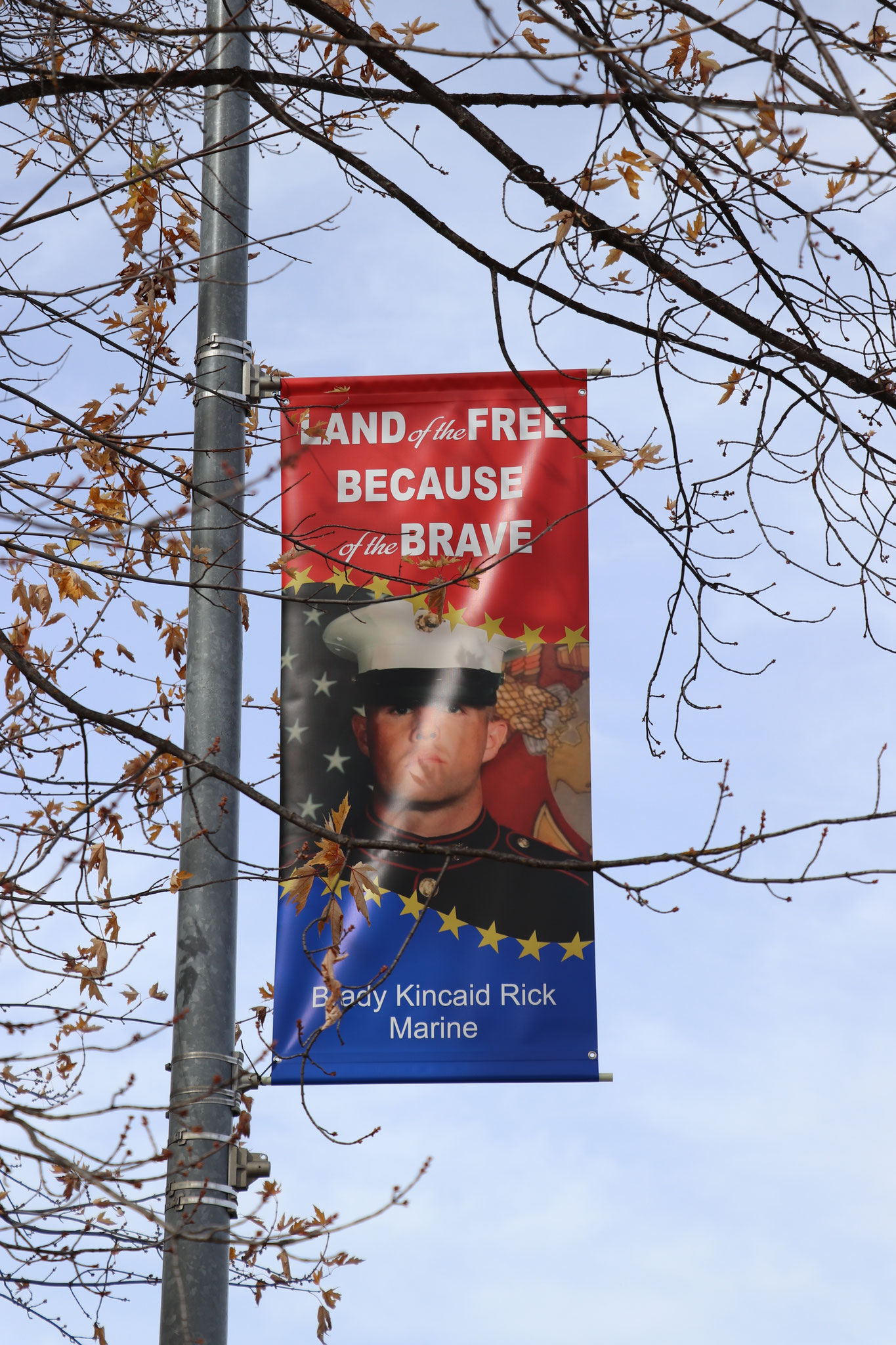 "Land of the free" ???