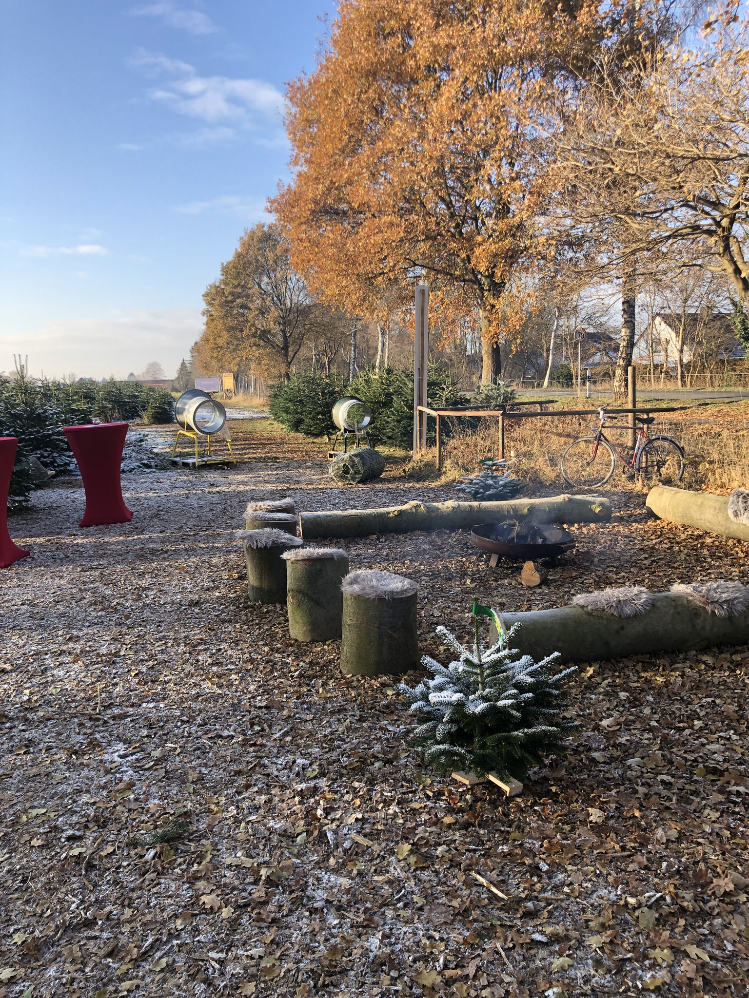 Lagerfeuer beim Weihnachtsbaum Selberschlagen.