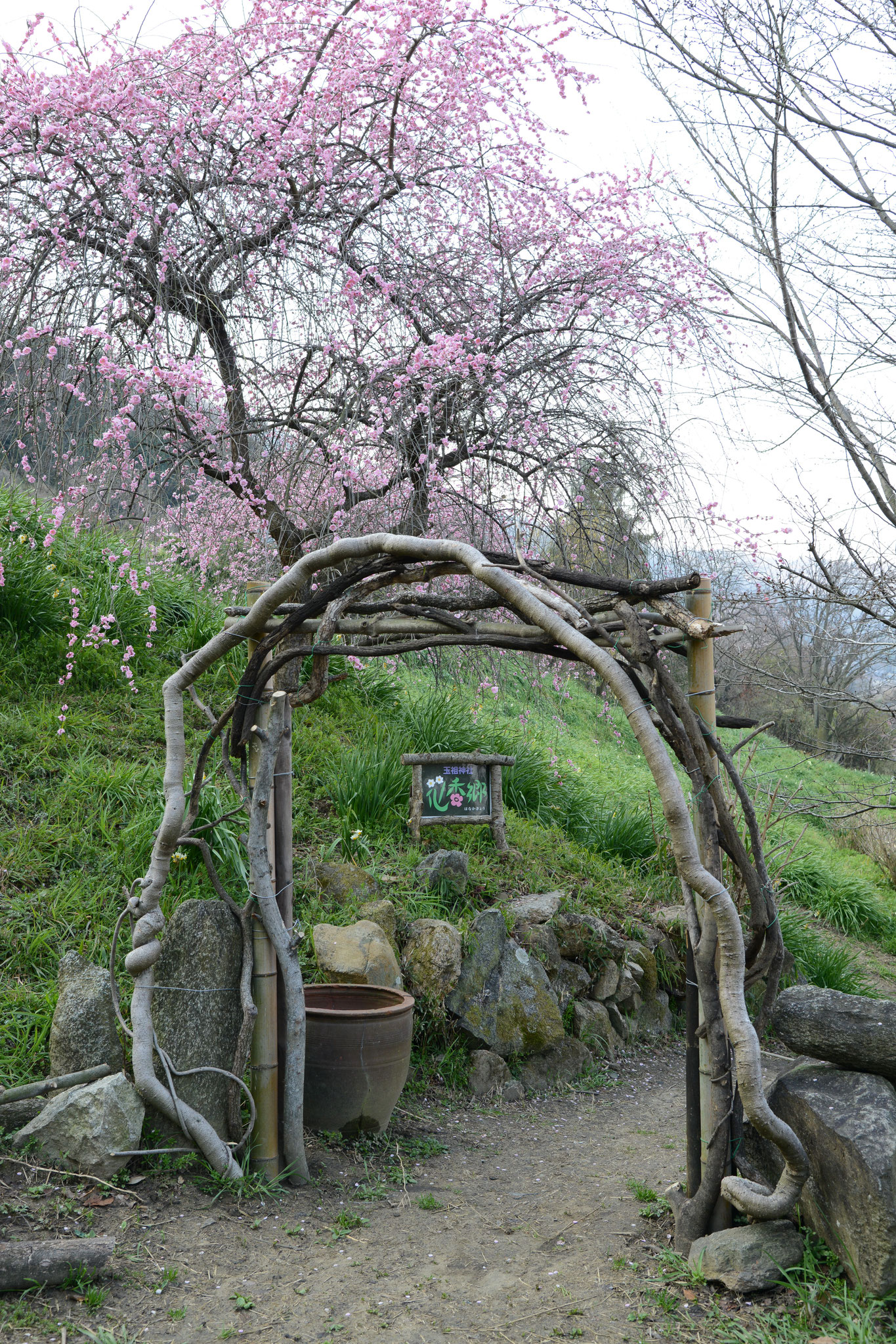 桃の花と入口