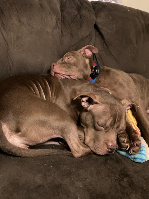 Jenny & Bubba